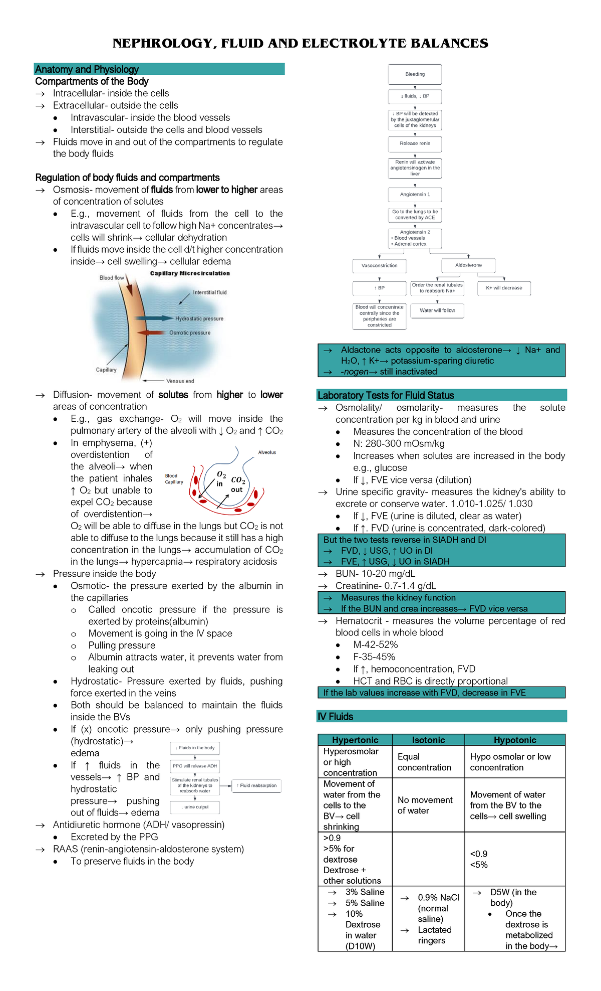 NEPHROLOGY 101: Fluid and Electrolyte Balance Overview - Studocu