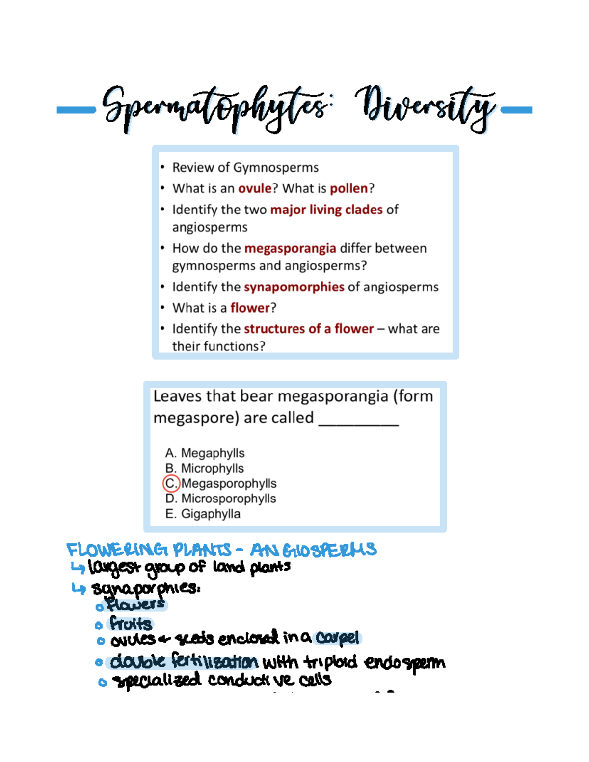 Lecture 16: Diversity of Spermatophytes - Angiosperms and Gymnosperms ...