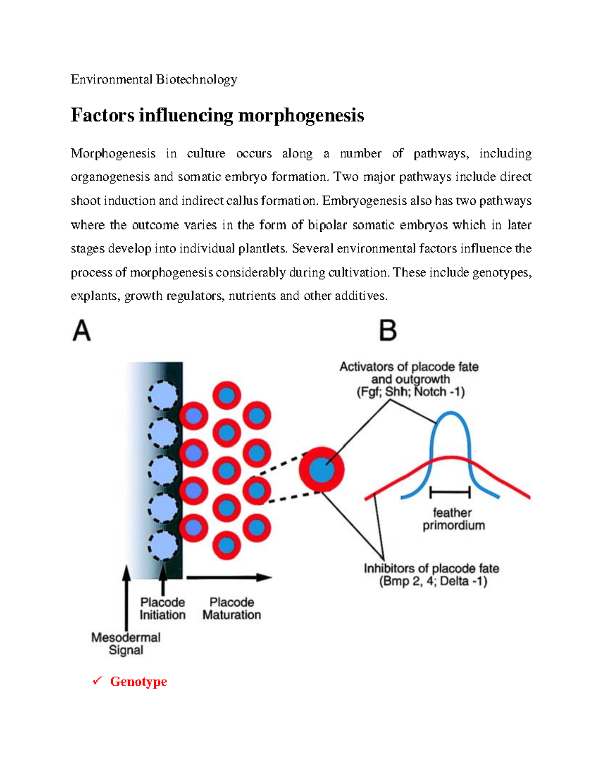 Env Biotech: Factors Influencing Morphogenesis in Plant Cultures - Studocu