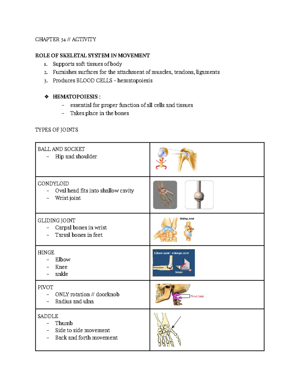 Chpater 34 - notes - CHAPTER 34 // ACTIVITY ROLE OF SKELETAL SYSTEM IN ...