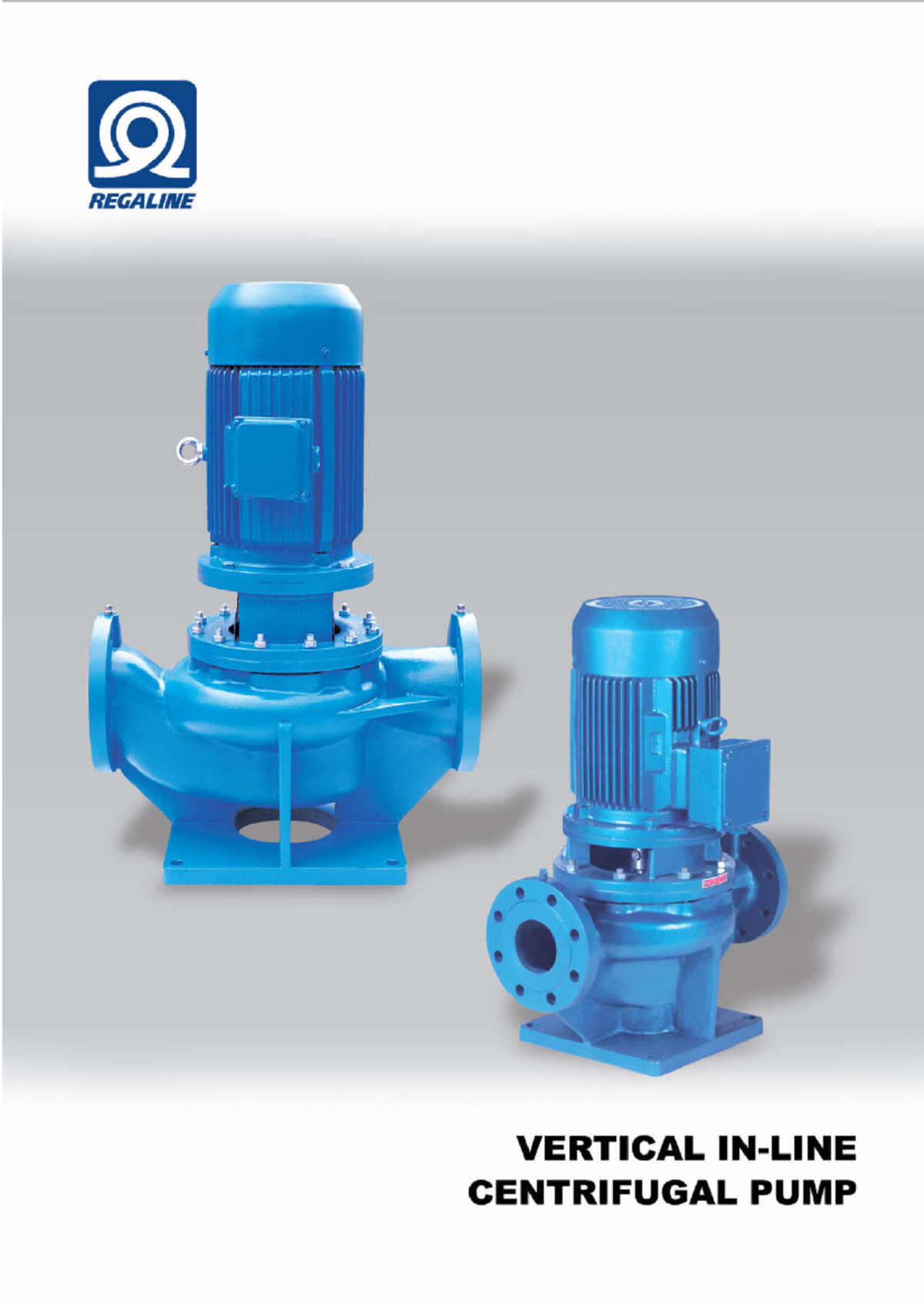 04 Vertical Centrifugal Pump Specifications and Applications Guide ...
