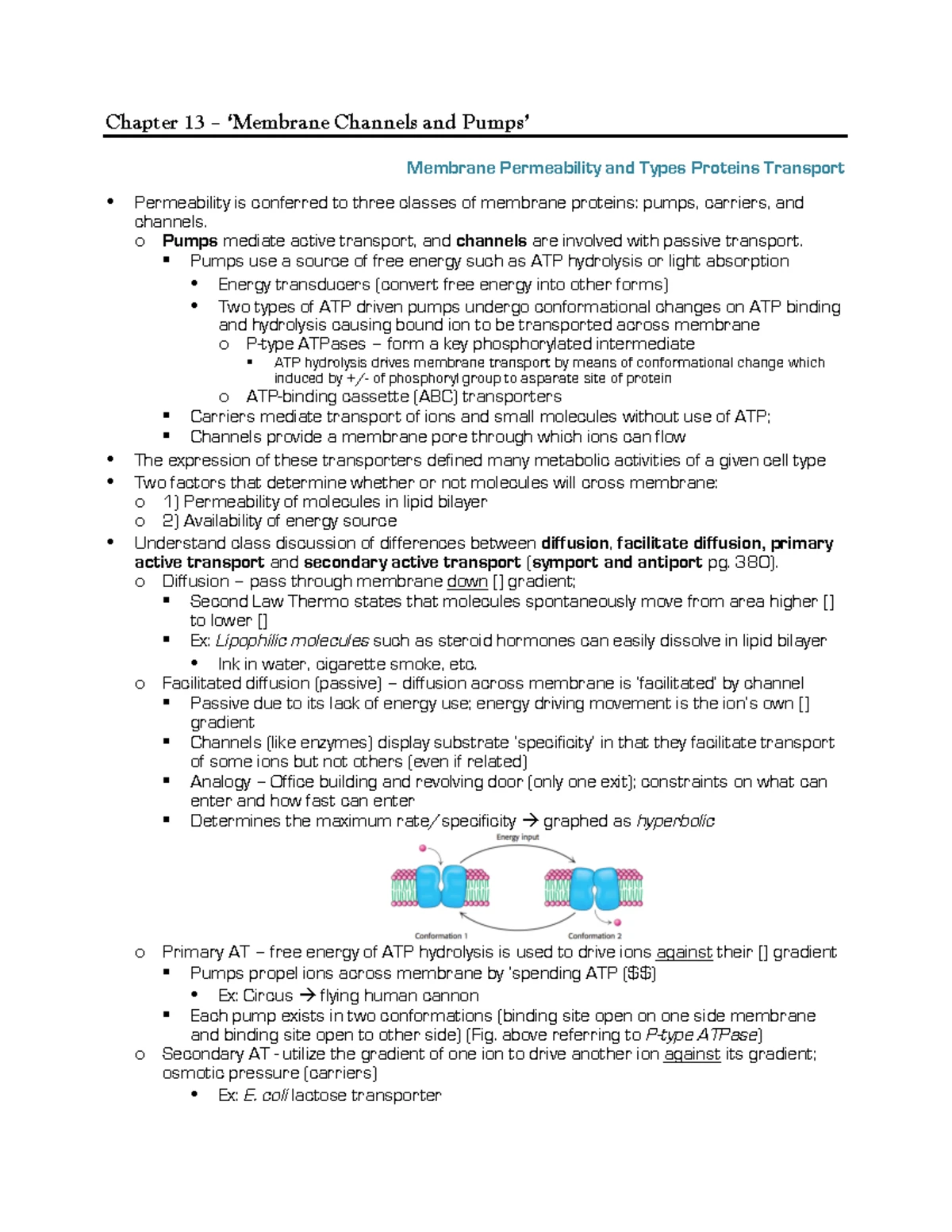 DNA Structure and Replication Notes - Course Code: 2 4 25 - Studocu