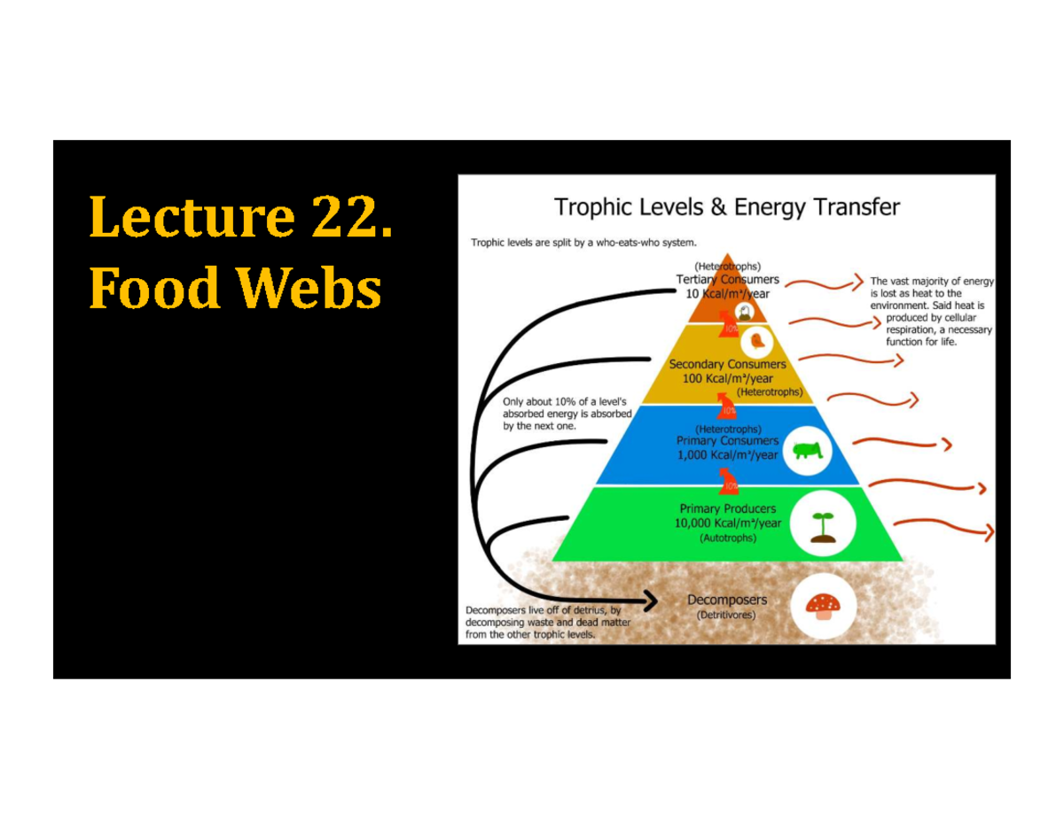 Lecture 22: Food Webs and Trophic Levels - Studocu