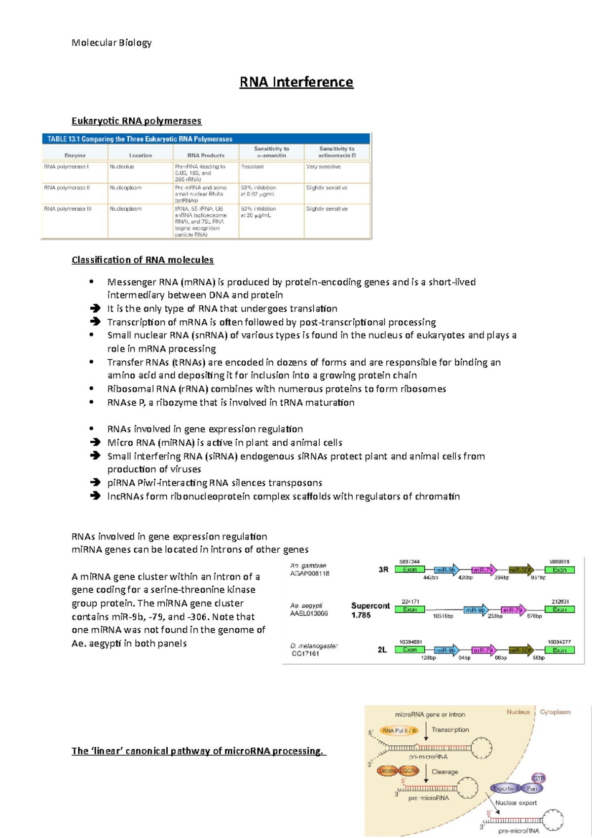 RNA Interference: Detailed Notes on Mechanisms and Applications - Studocu