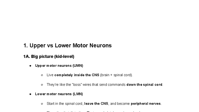 Patho: Upper vs Lower Motor Neurons Overview and Key Concepts - Studocu