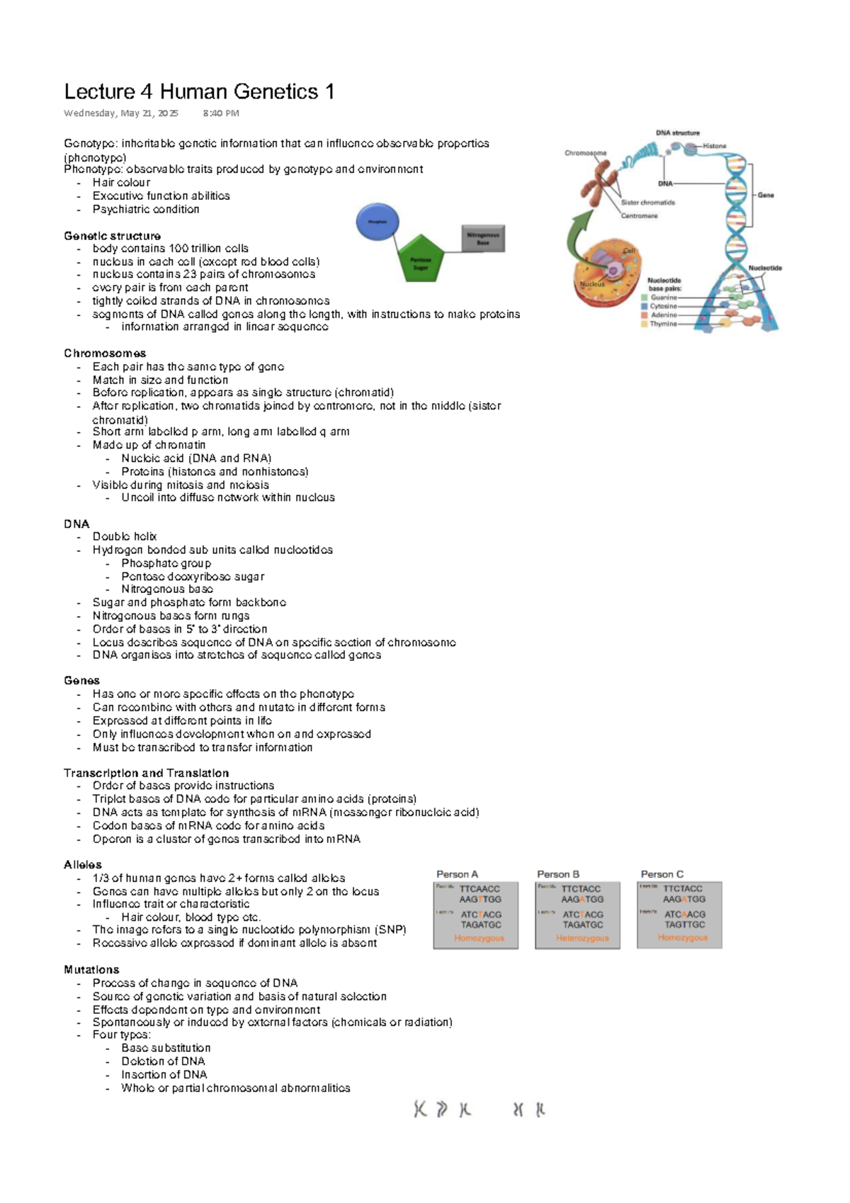 Lecture 4: Human Genetics Overview and Key Concepts - Studocu