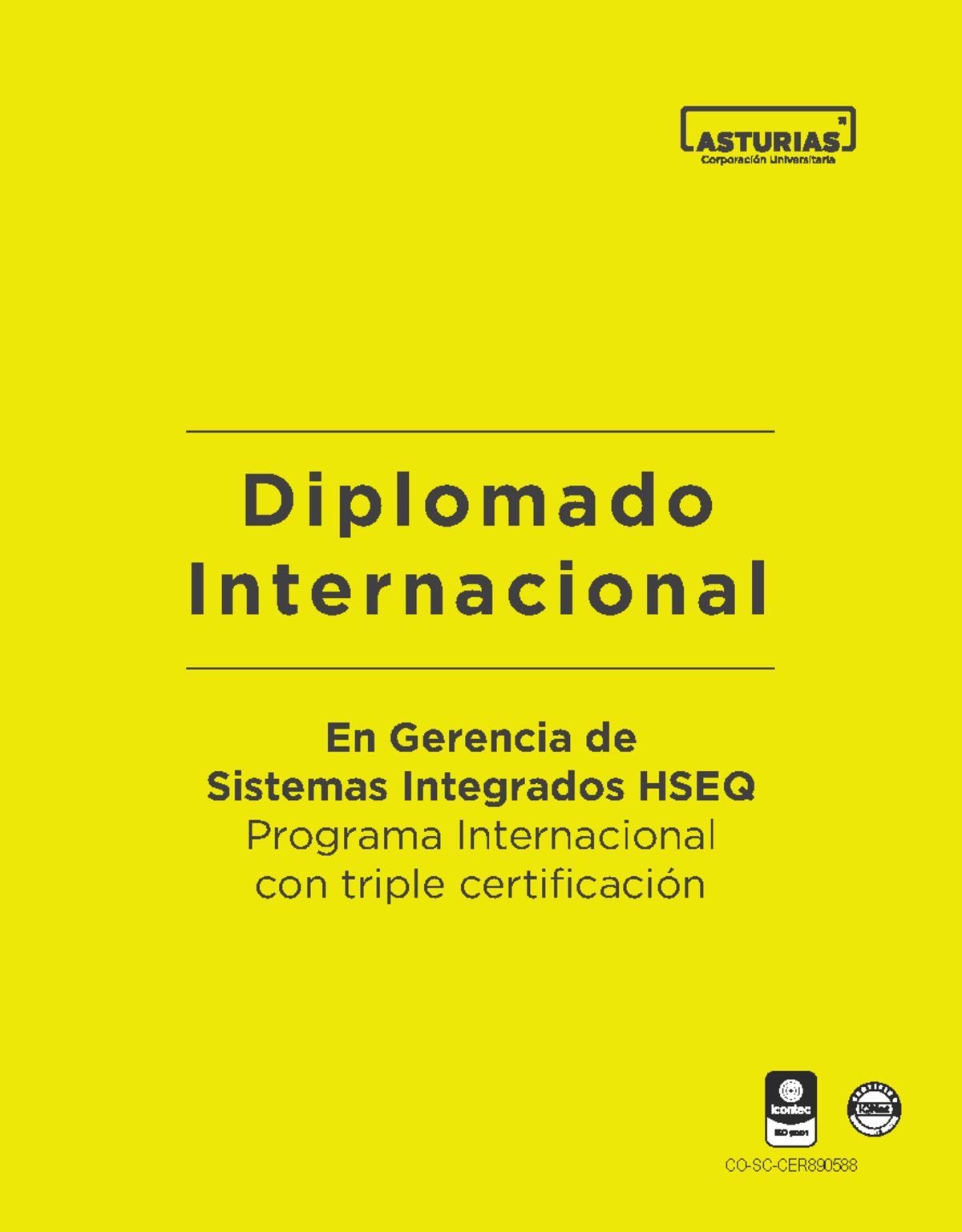 Diplomado DSIG (HSEQ) - Diplomado Internacional En Gerencia de Sistemas ...