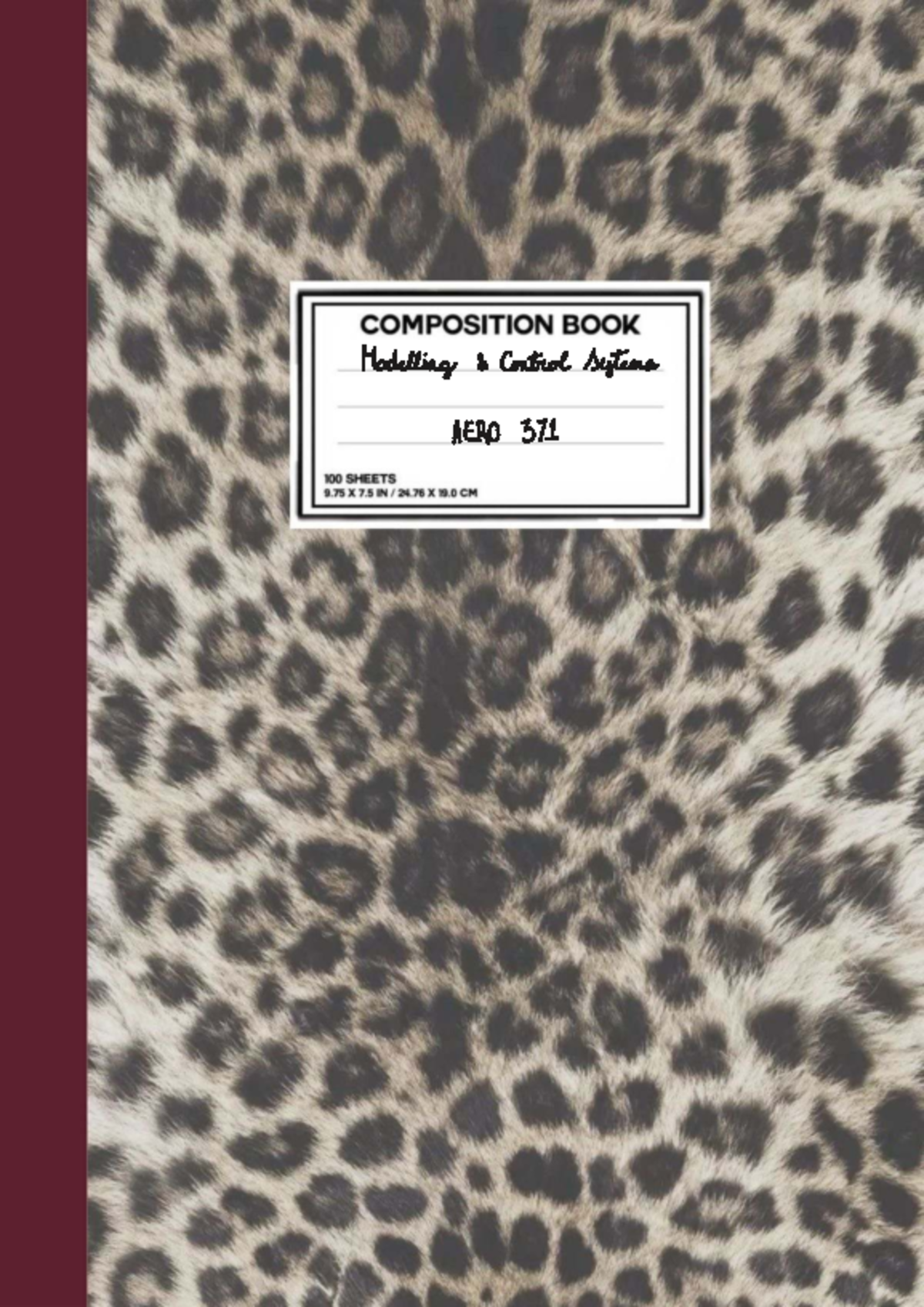 AERO 371 Control Systems Chapter 1-4 Lecture Summaries - Studocu