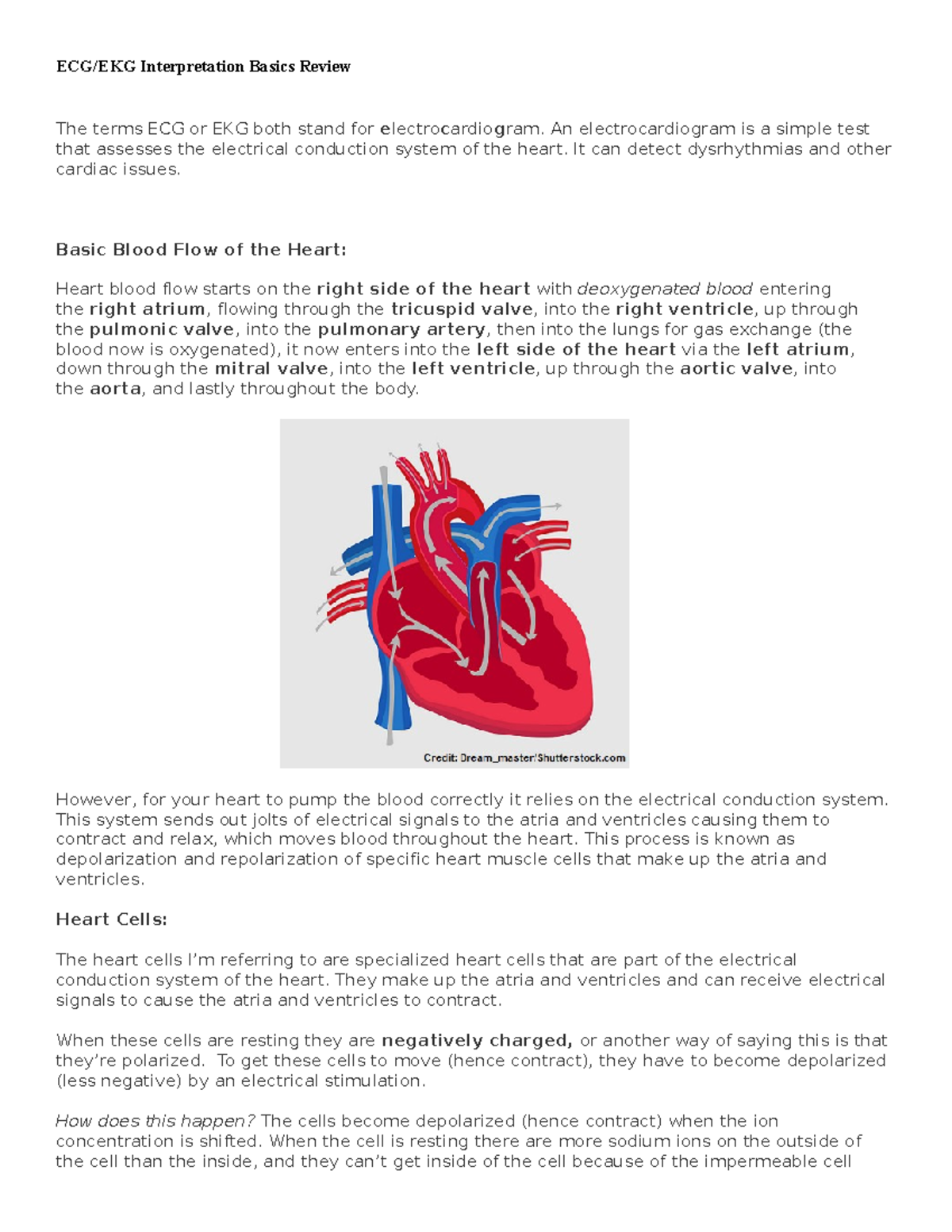 ECG - Course - ECG/EKG Interpretation Basics Review The terms ECG 