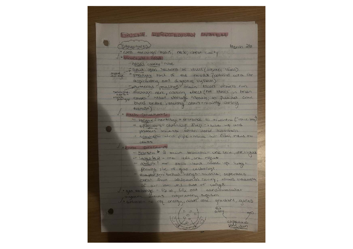 Final Exam Study Guide for Course ABC123: Key Concepts and Tips ...