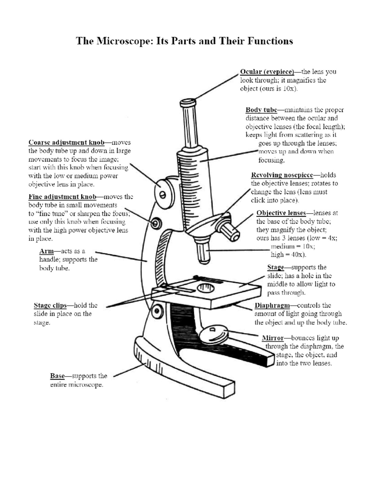 Microscope Parts And Functions Grade 7