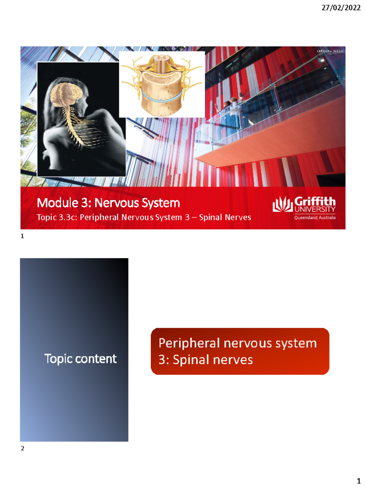 1016MSC Module 3: Peripheral Nervous System & Spinal Nerves - Studocu