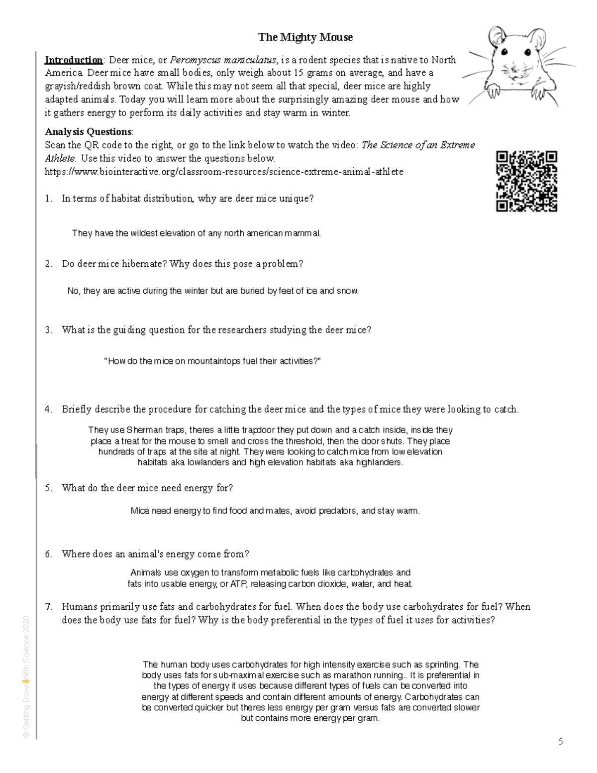 UNIT 3 The Mighty Mouse - Analysis questions for video 
