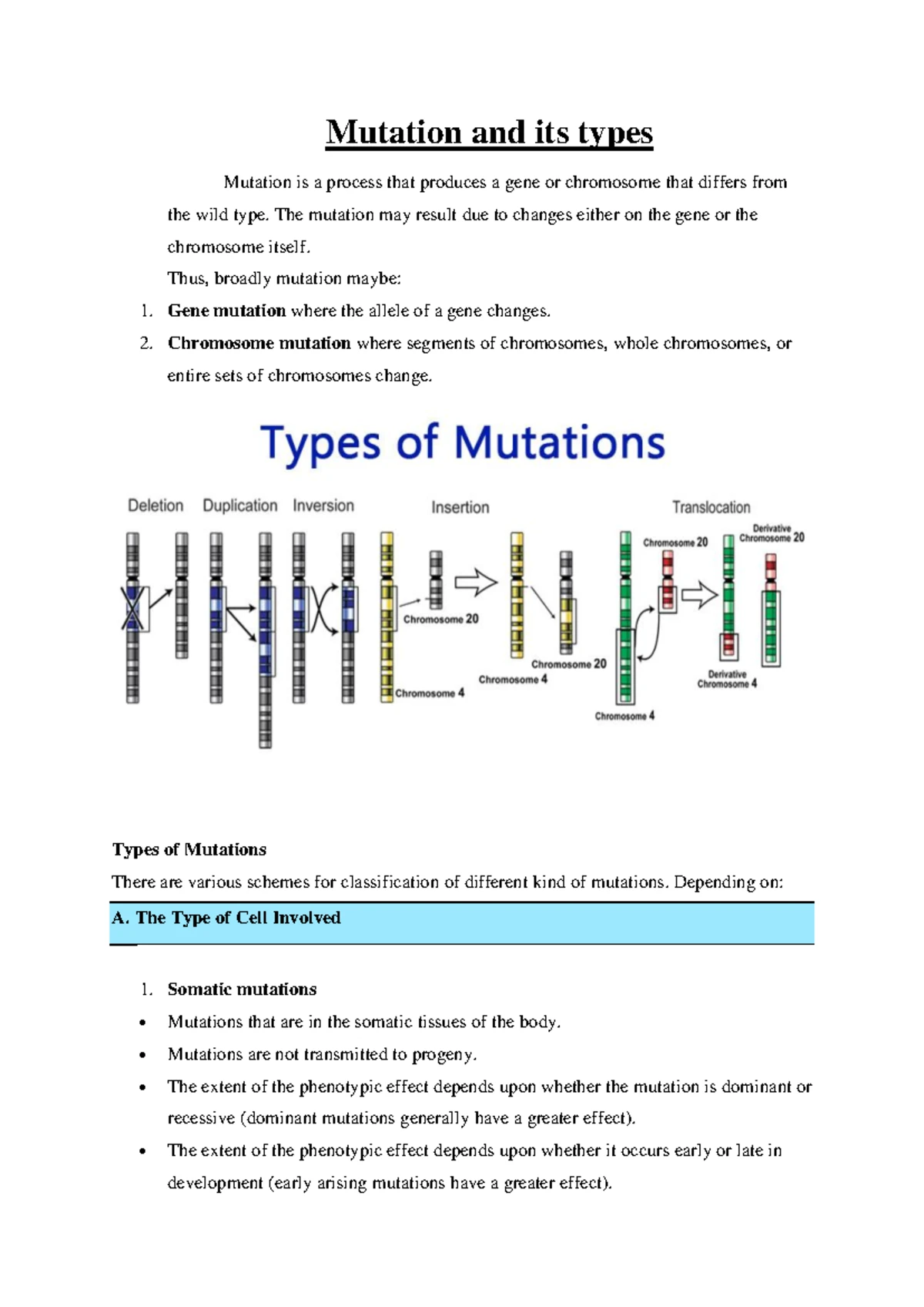 Medium Chain Acyl Co A Dehydrogenase Deficiency ( Mcadd) - Medium Chain ...