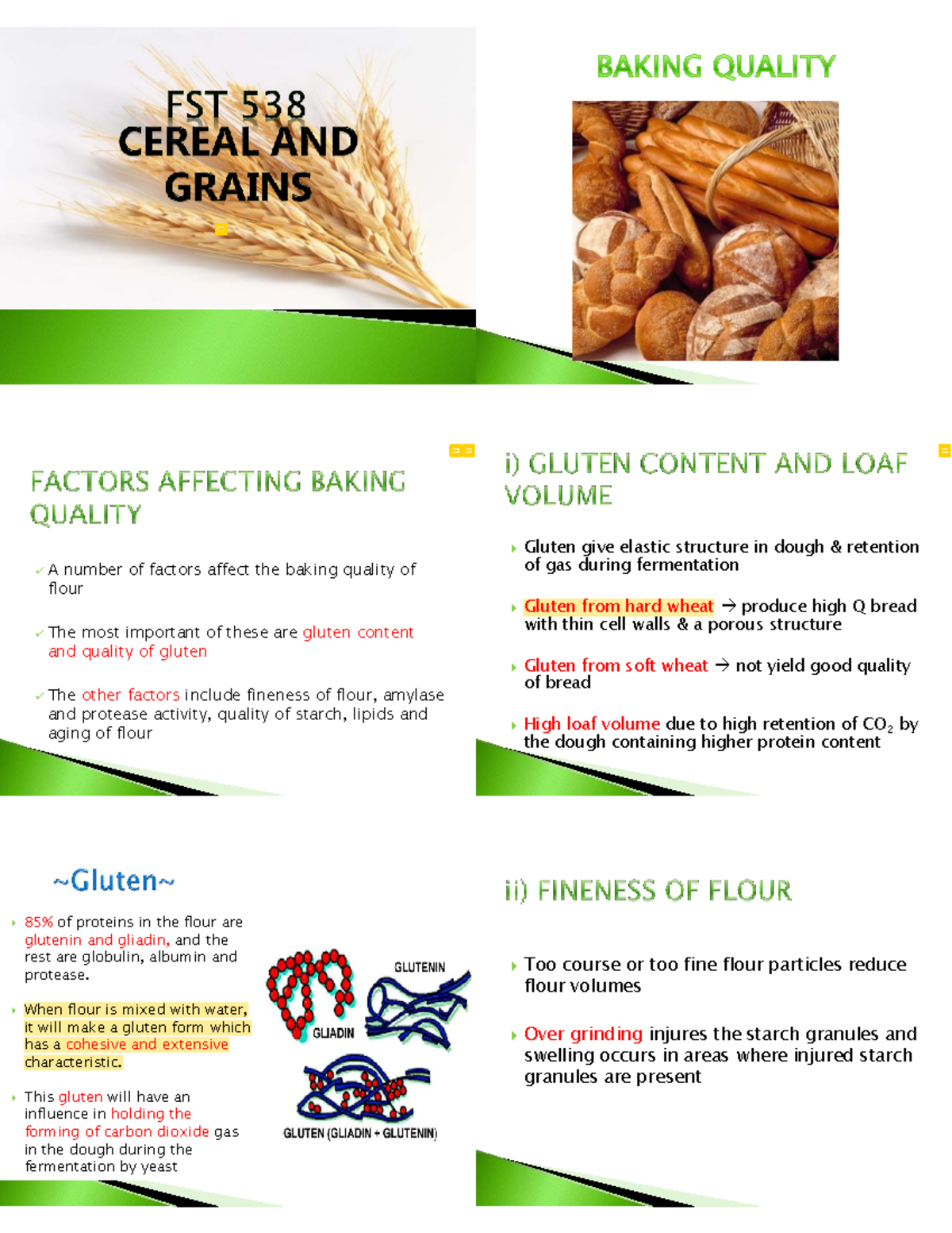 Gluten's Role in Dough Elasticity and Baking Quality (CEREAL 101) - Studocu