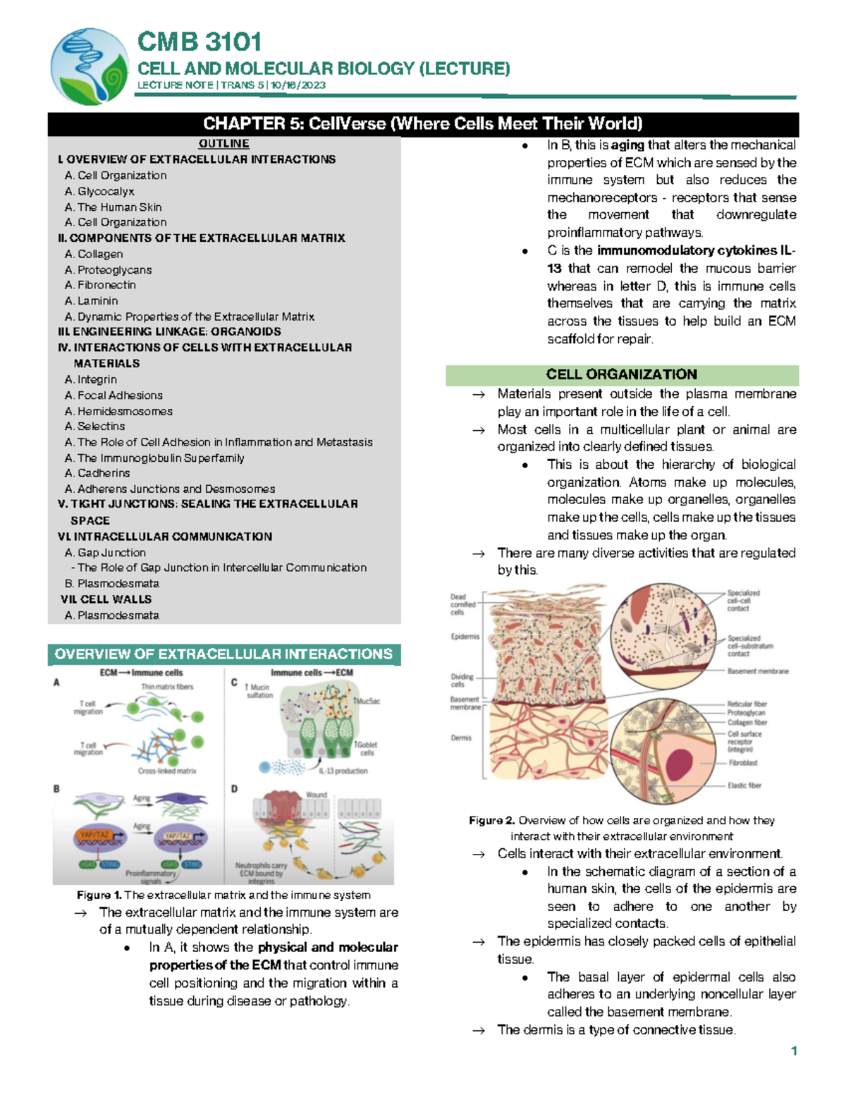 [CMB 3101] Lecture Notes on Chapter 5: CellVerse and ECM Interactions ...