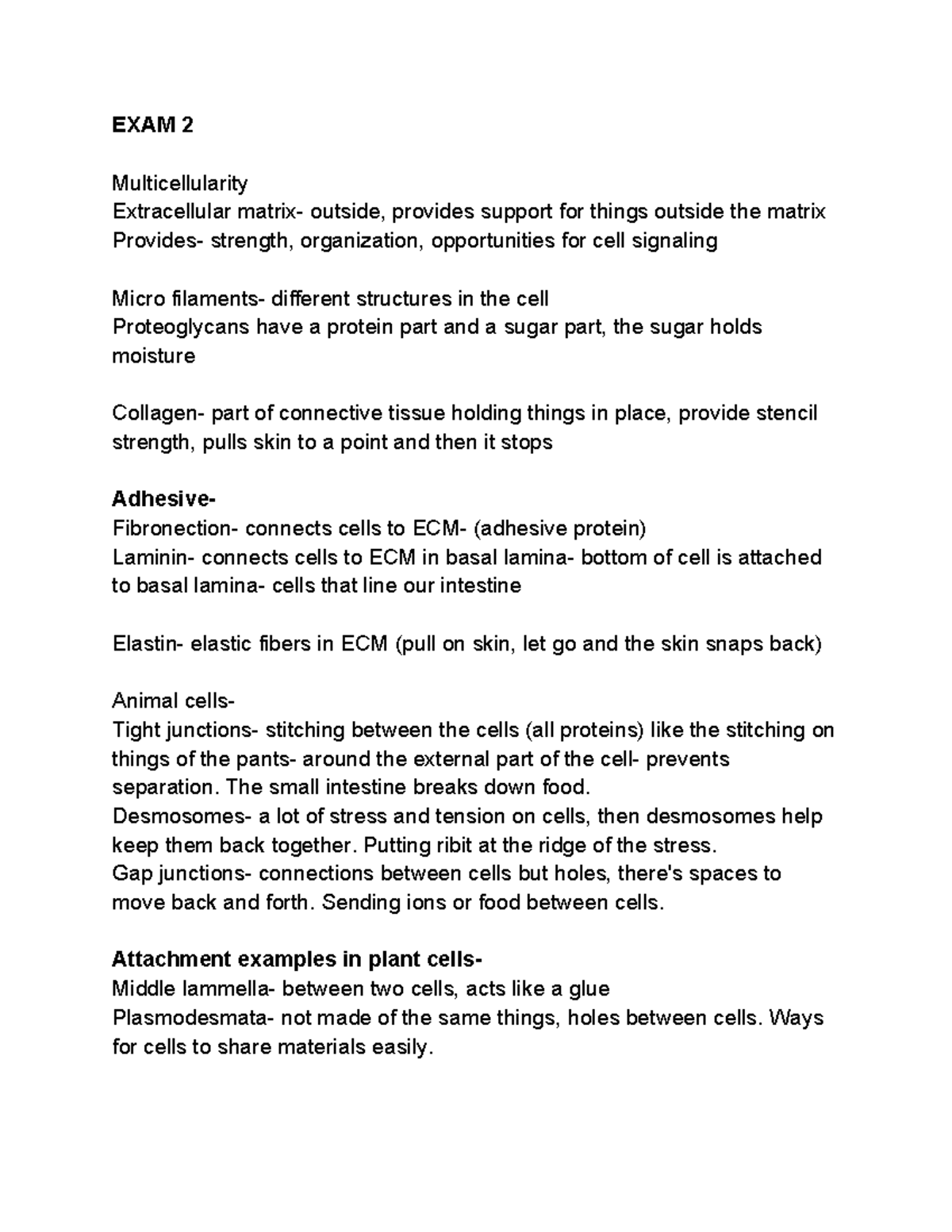 Exam 2 Study Guide: Cellular Processes & Energy Metabolism Insights ...
