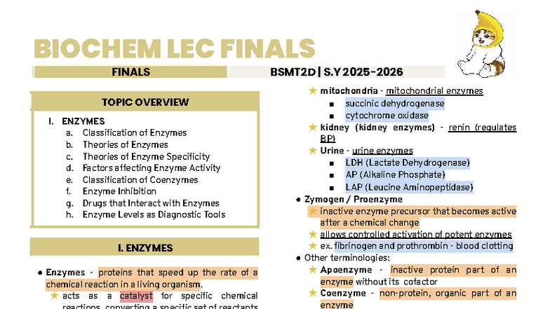 Biochem LEC Finals: Enzymes Overview and Key Concepts - Studocu