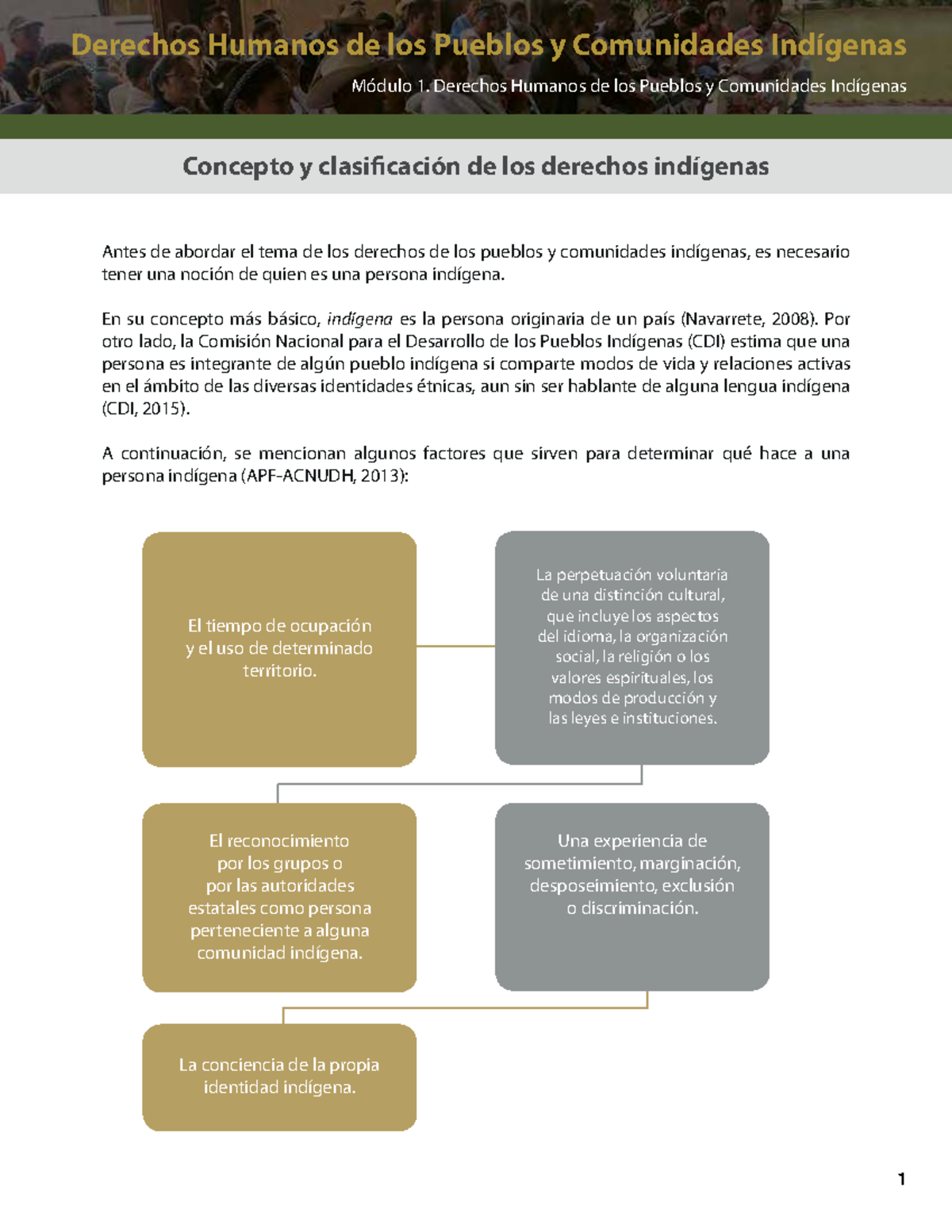 Derechos Humanos de los Pueblos Indígenas - Módulo 1: Concepto y ...