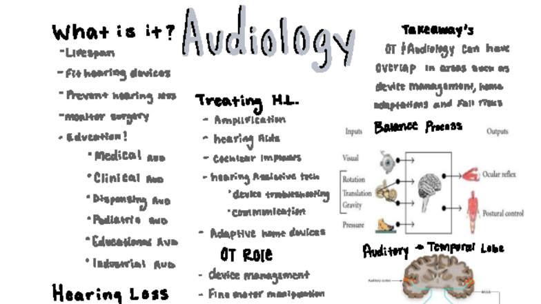 Audiology - notes - what is it ? Takeaway's Ax dicol Lifespan OT ...