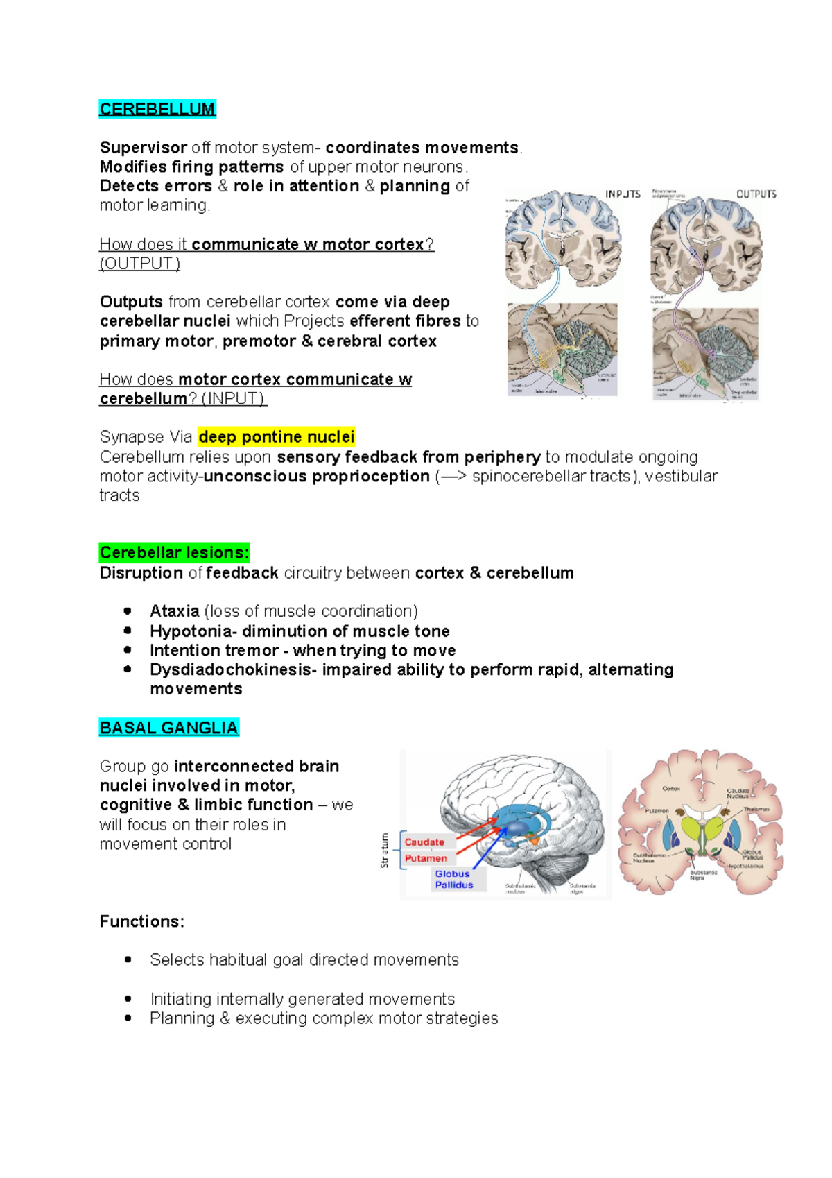 Cerebellum - Lecture notes Anatomy notes - CEREBELLUM Supervisor off ...