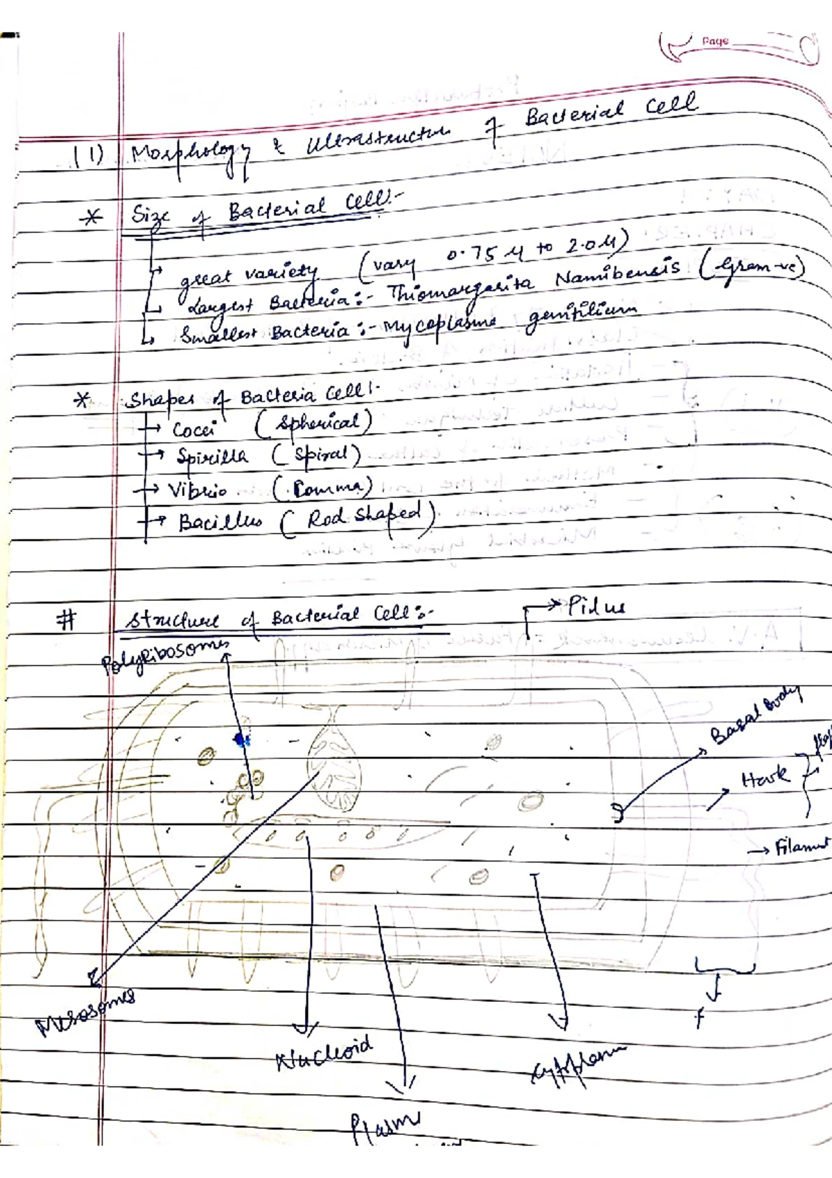Biotechnology 101: Comprehensive Fermentation Notes and Techniques ...
