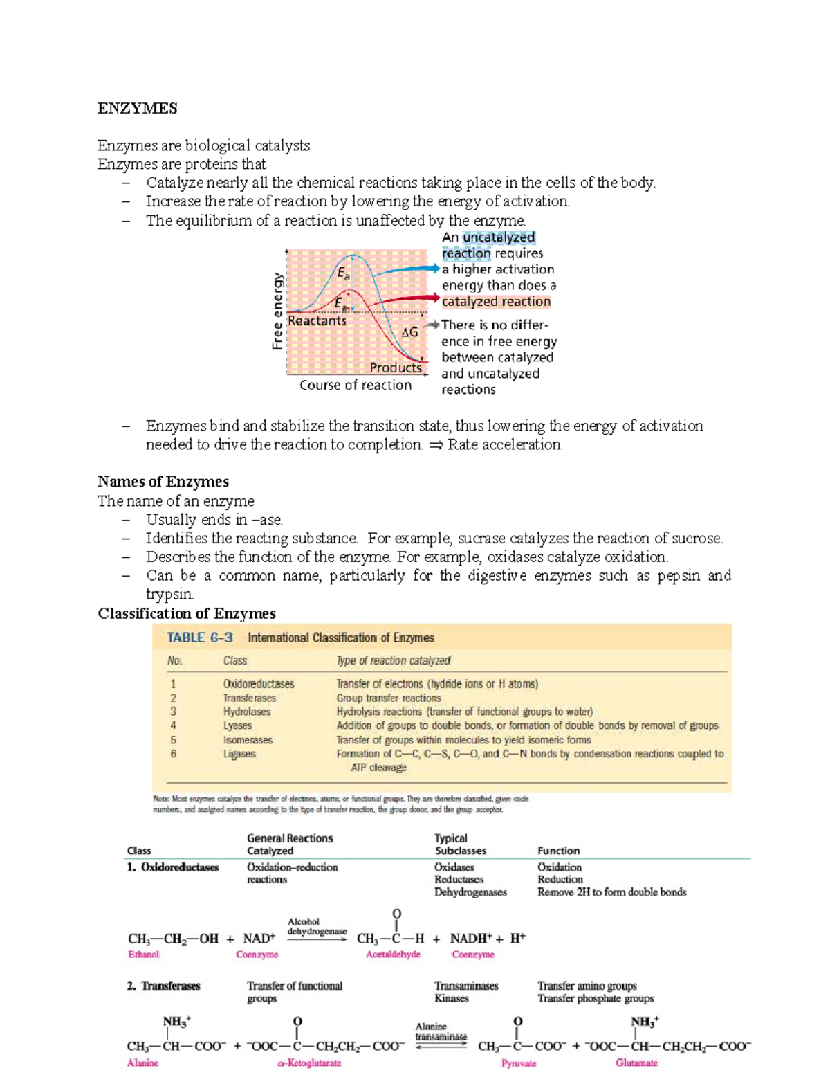 Enzyme Kinetics and Inhibition - Lecture Notes for BIO 101 - Studocu