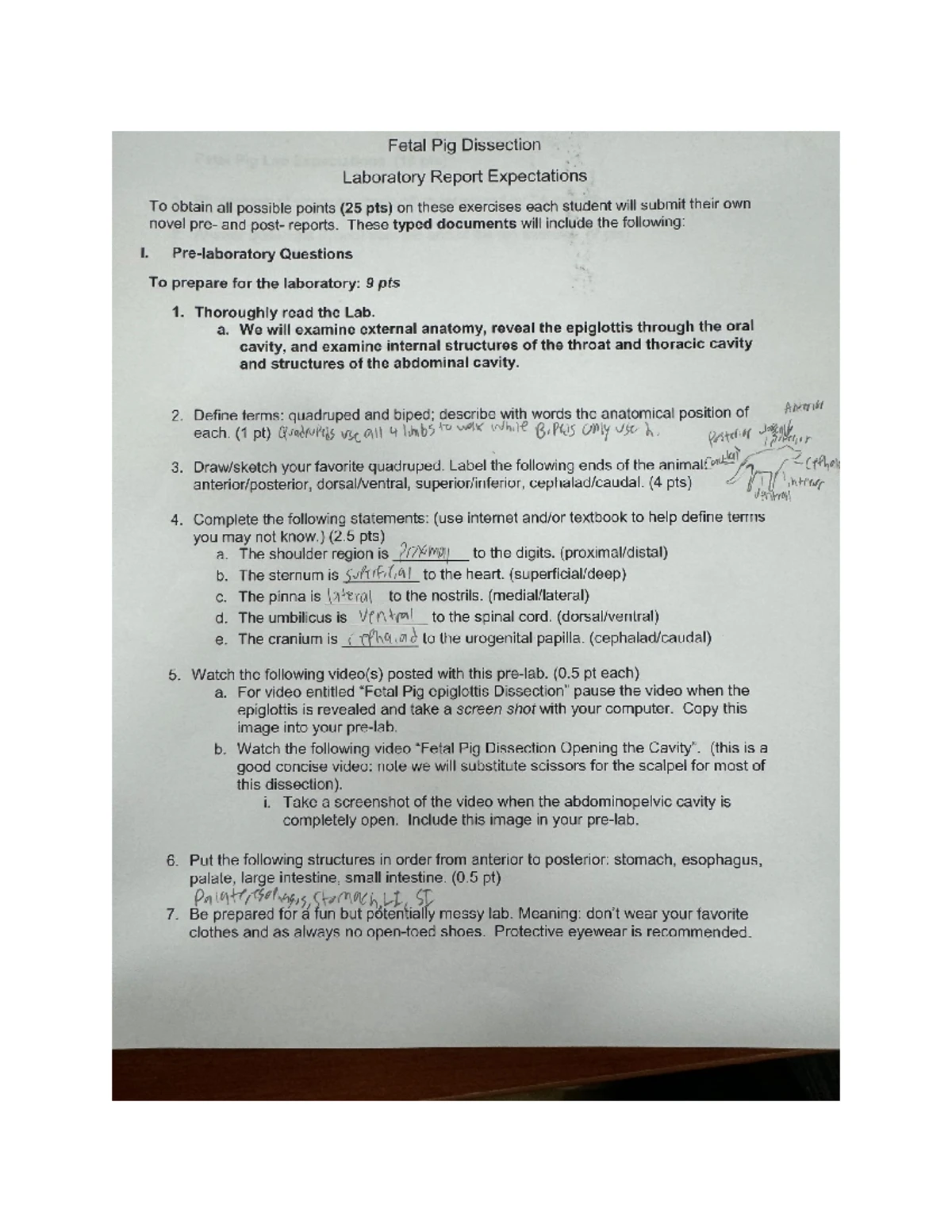 Cell Fractionation and DNA Isolation Lab Report - Cell Fractionation ...