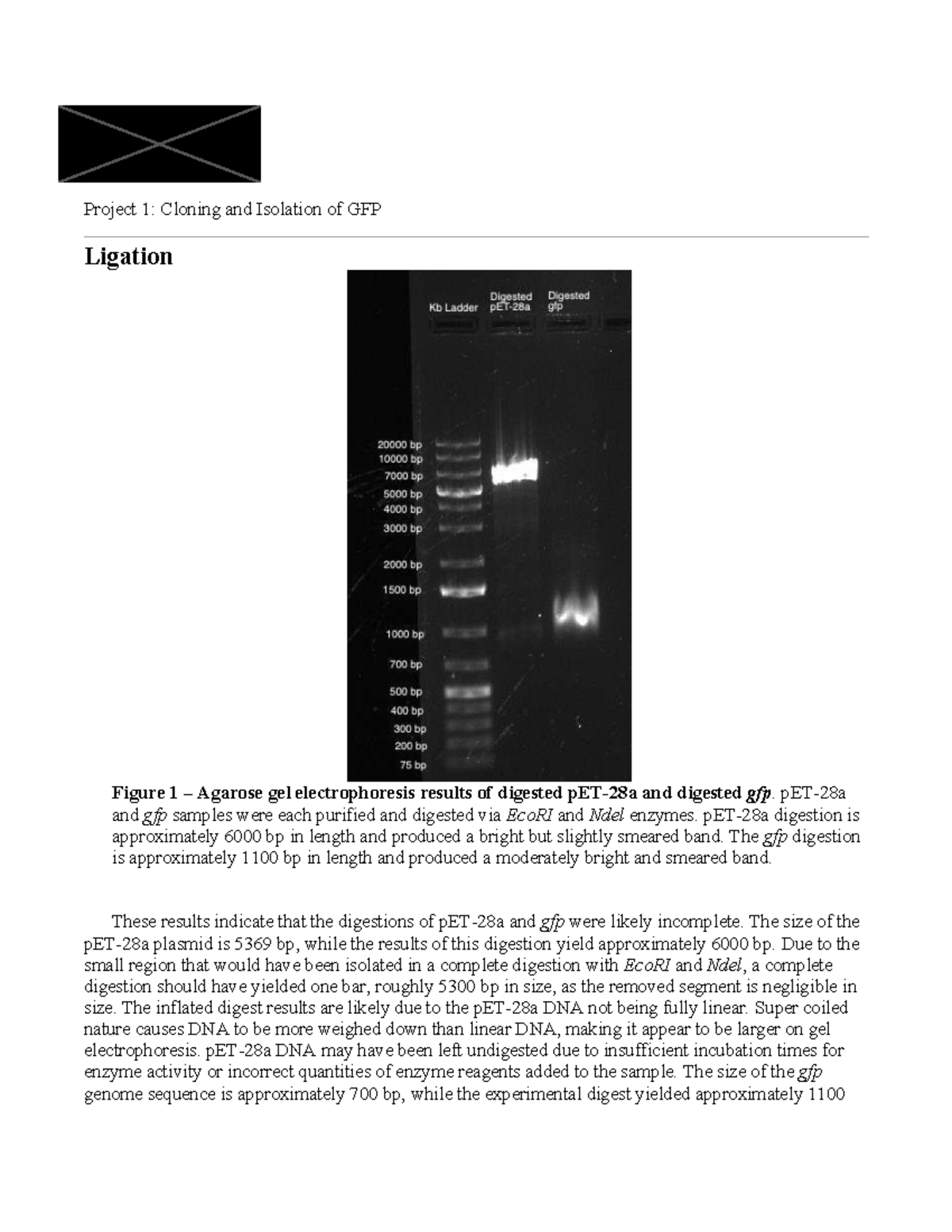 MBG 3350 Lab Assignment 3: Cloning & Isolation of GFP Analysis - Studocu