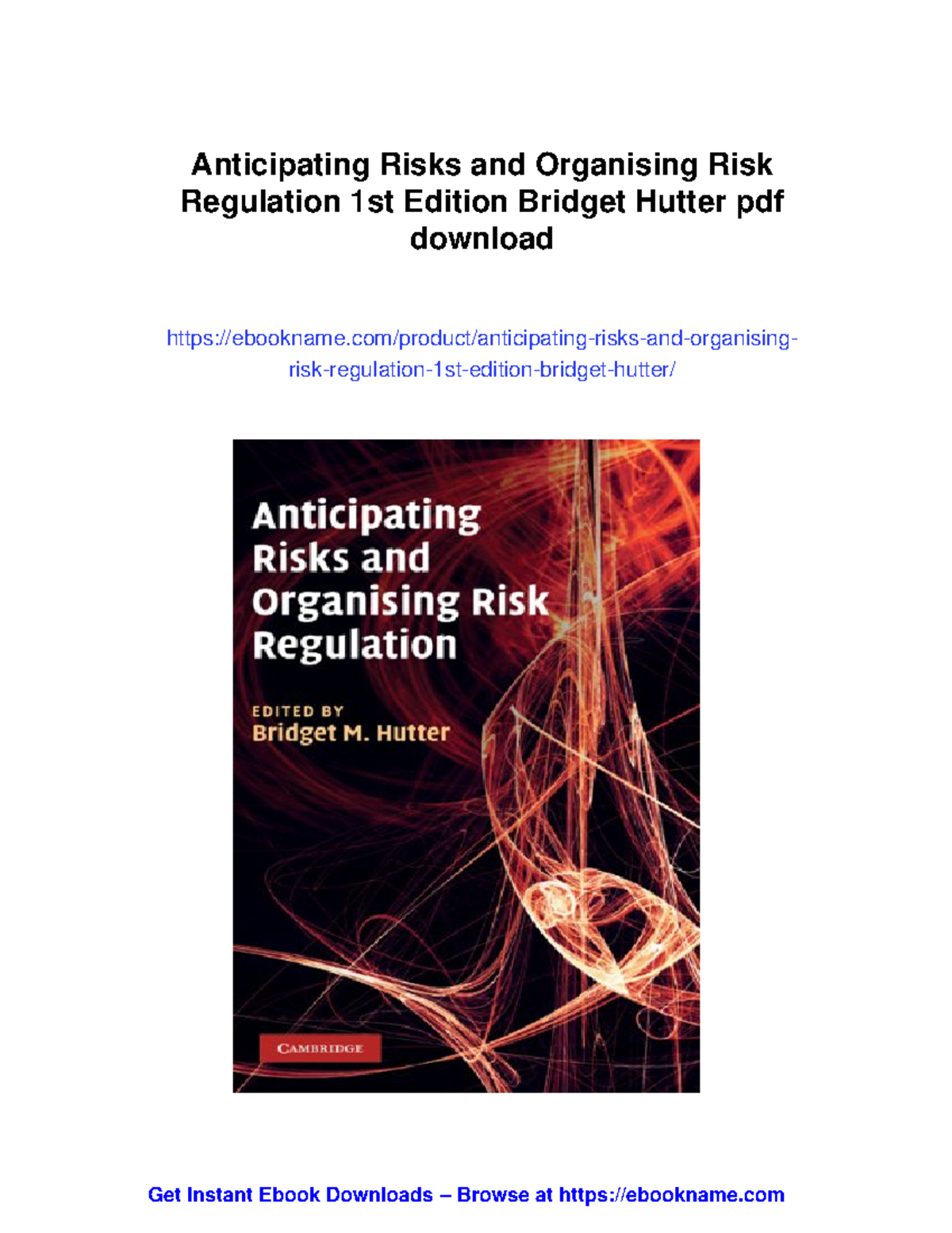 39413 - Anticipating Risks and Organising Risk Regulation: 1st Edition ...