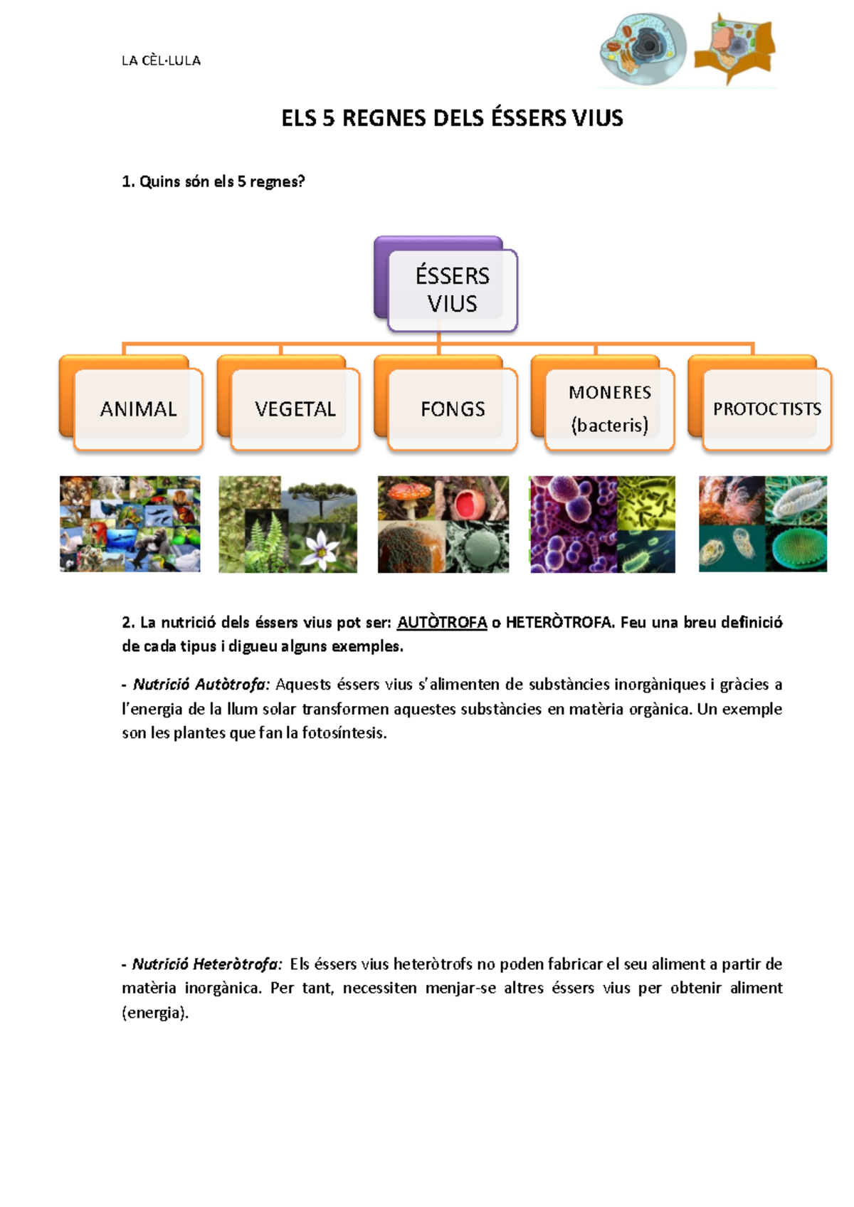 ELS 5 REGNES DELS ÉSSERS VIUS - ELS CAMPS DE LA CÈL·LULA - Studocu