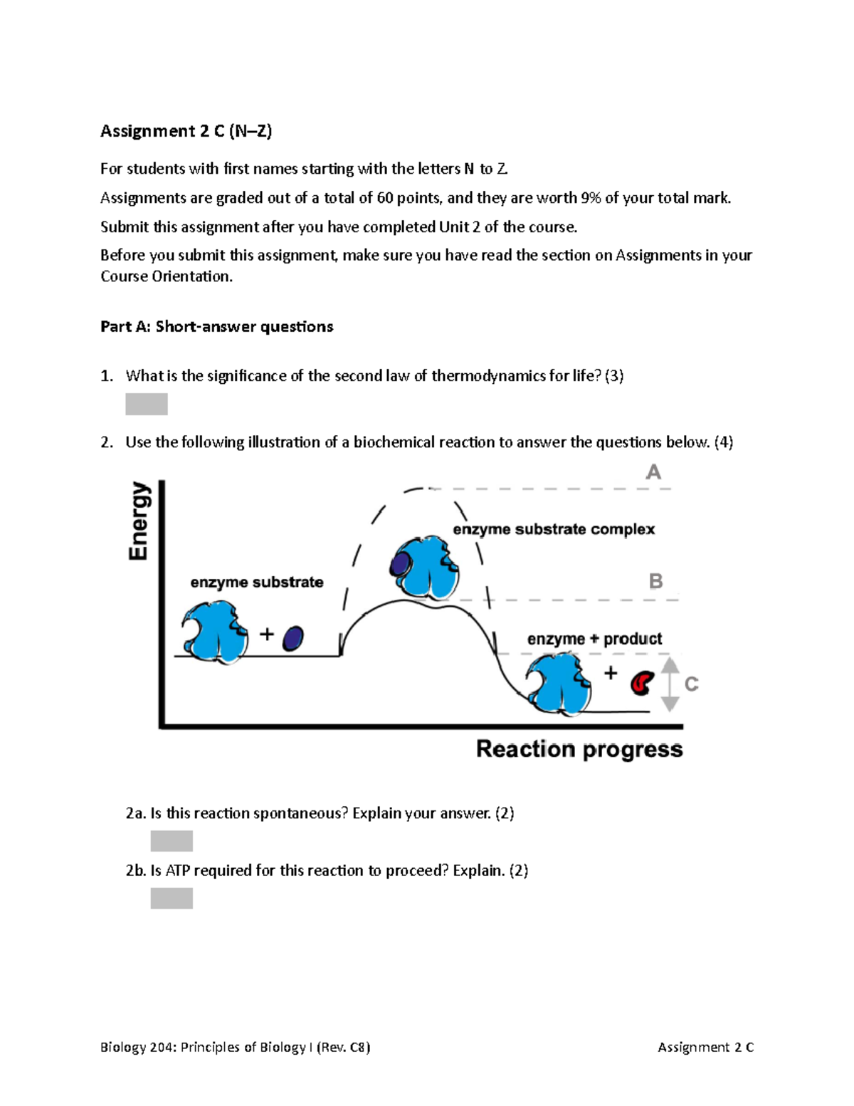 Assignment 2C (N-Z) - Short Answer & MCQ Tasks - Studocu