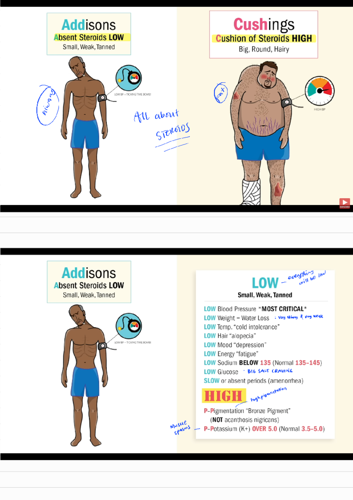 Addison vs. Cushing: Differential Diagnosis & Treatments (250126) - Studocu
