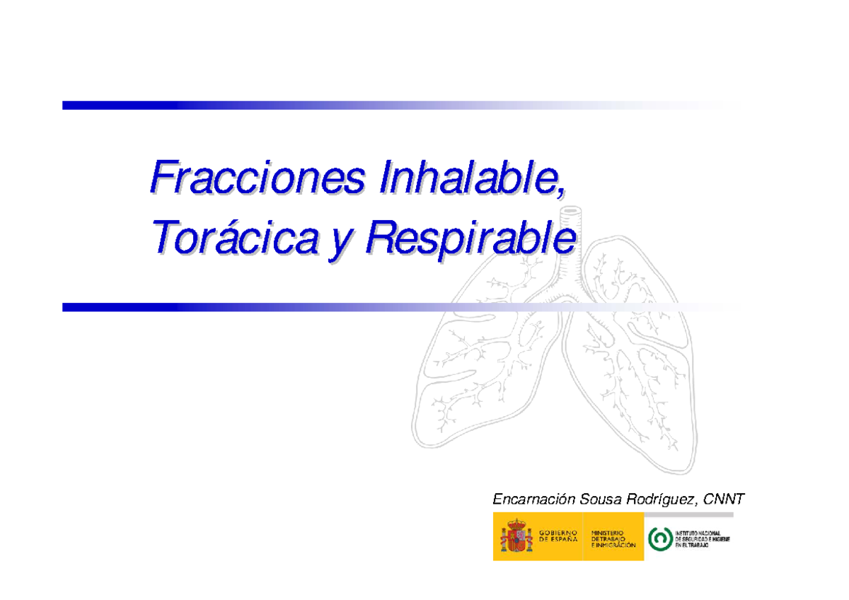 Fracciones Inhalables y Respirables: Análisis de Partículas - CNNT ...