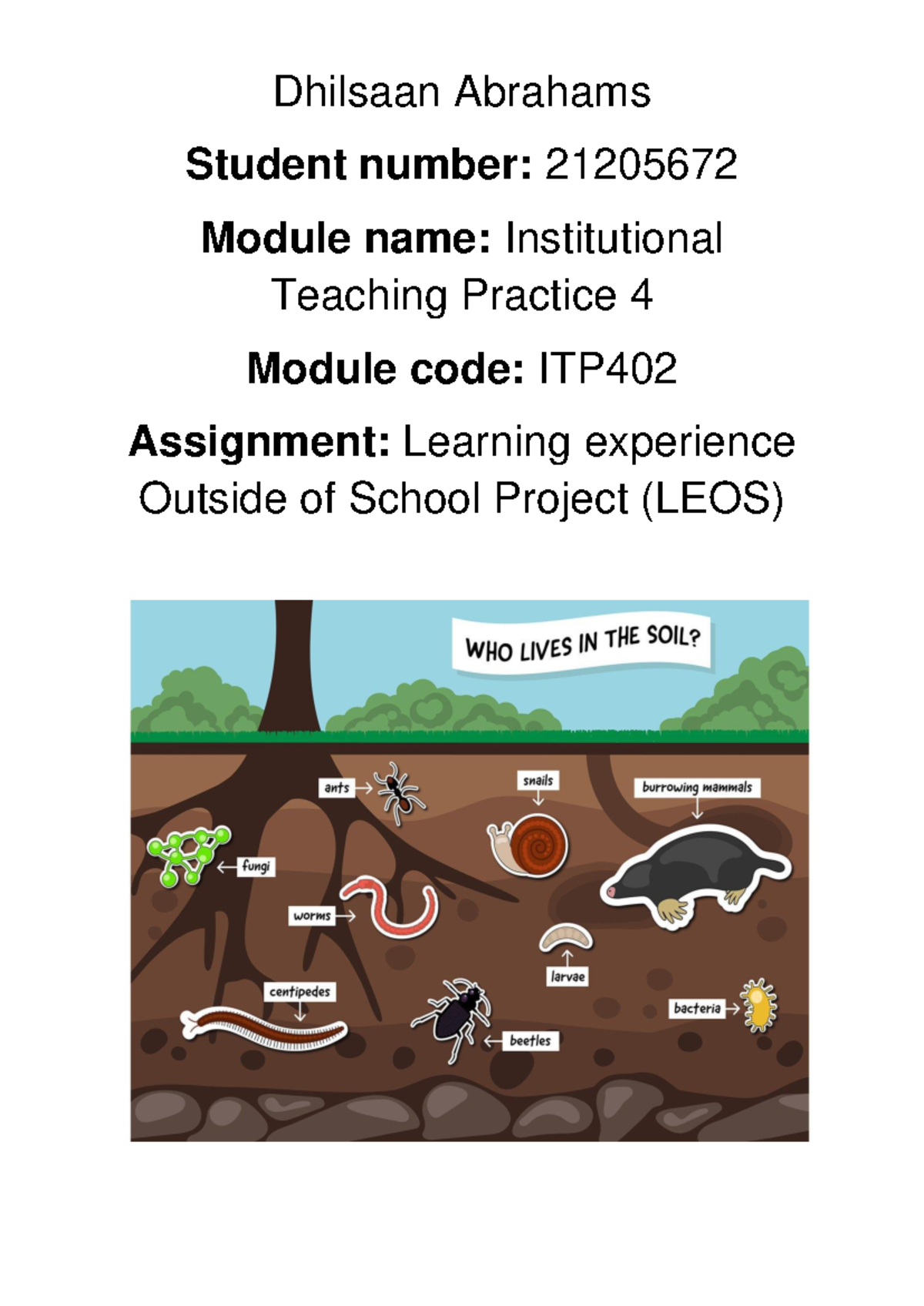 ITP402: Learning Experience Outside of School (LEOS) Project - Studocu