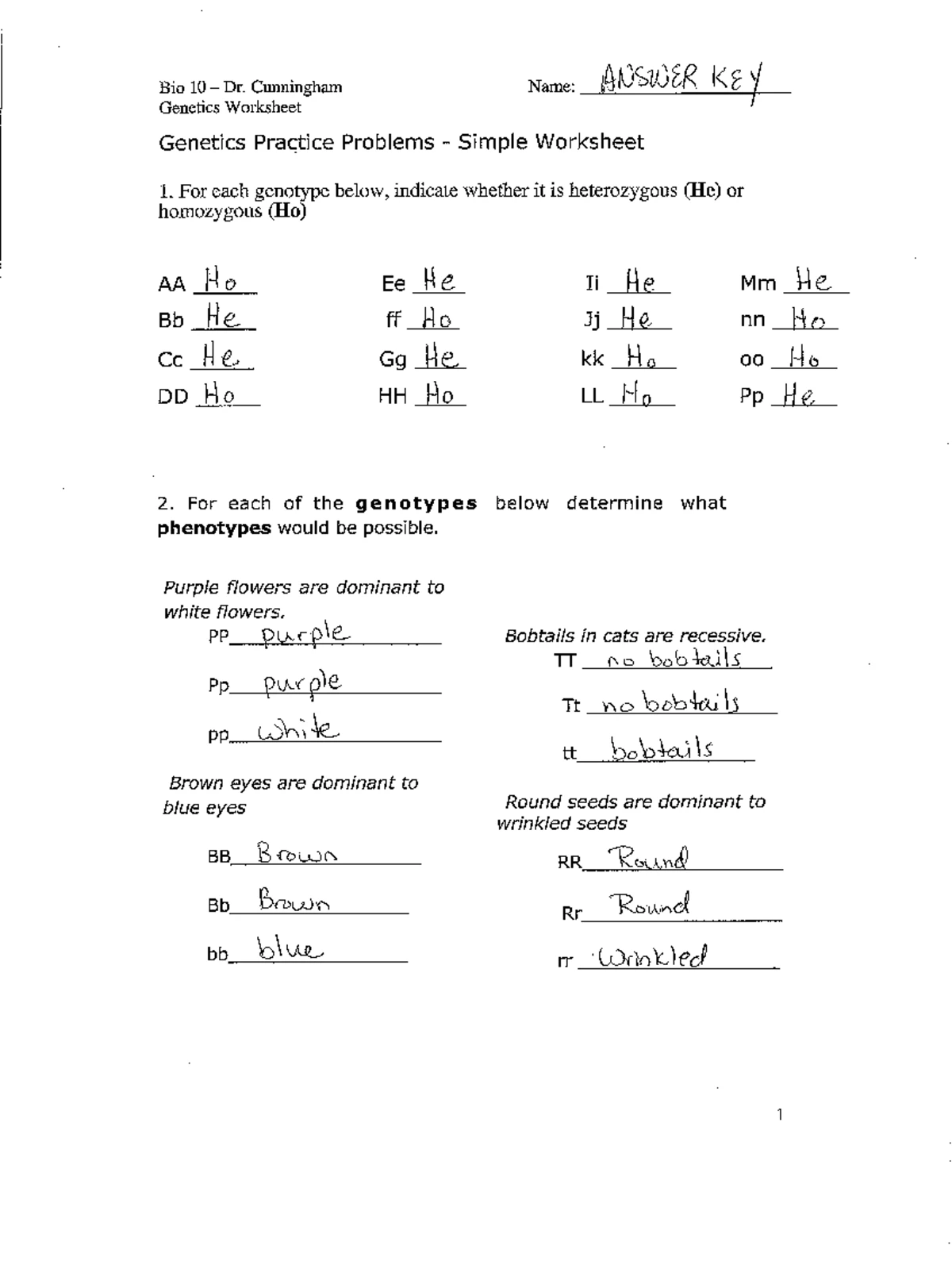 Examen Nivel B1: Present Perfect vs. Past Simple - Práctica y ...