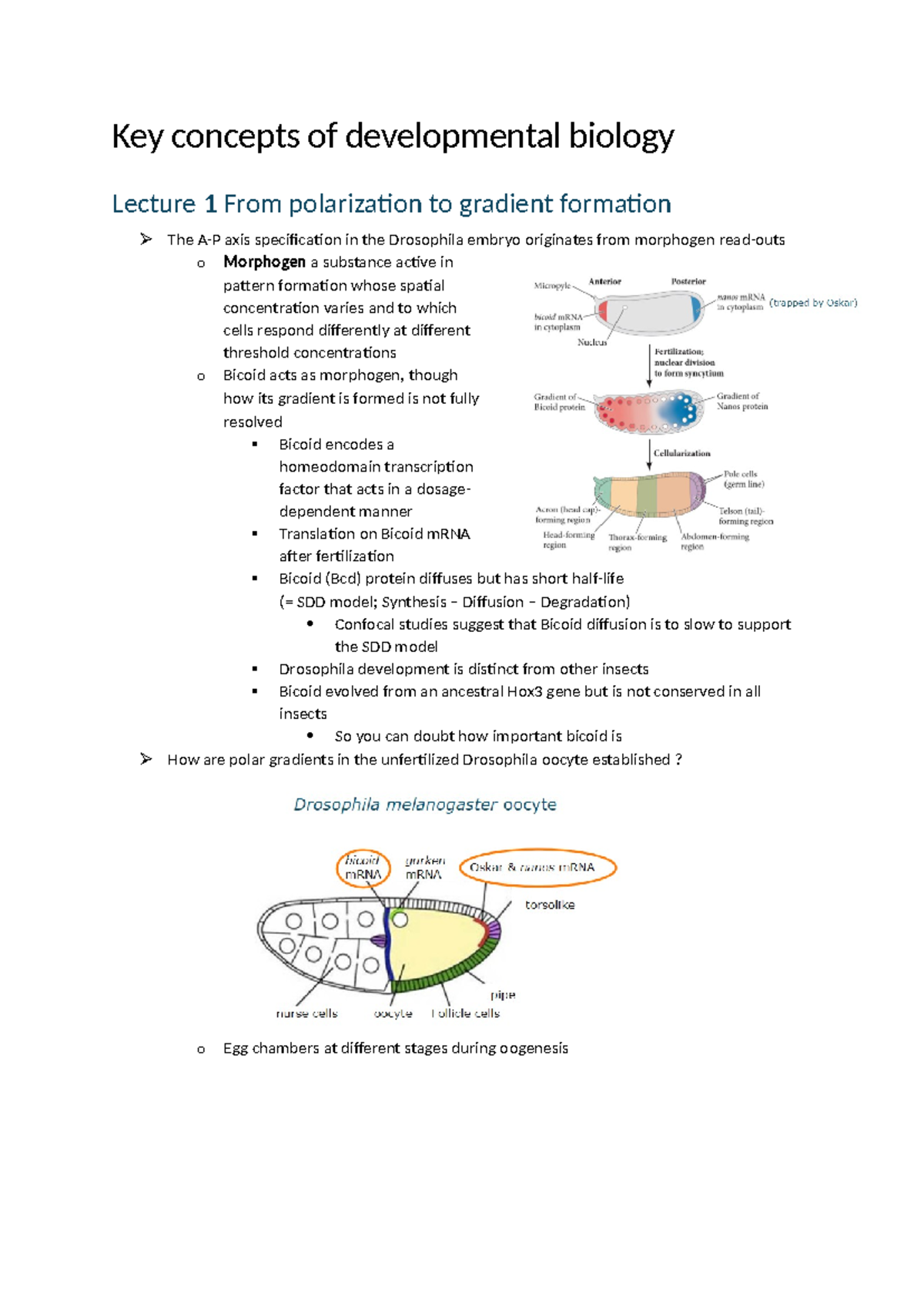 Key Concepts of Developmental Biology: Lecture 1 & Case Study 1 ...