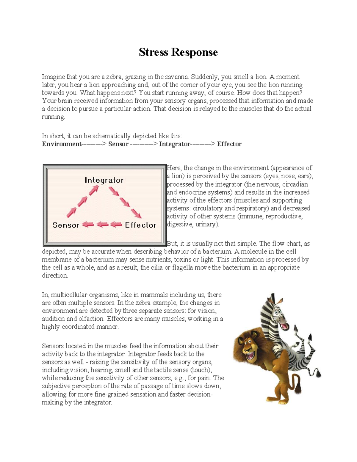 Stress Response - Study Material on Physiological Mechanisms - Studocu