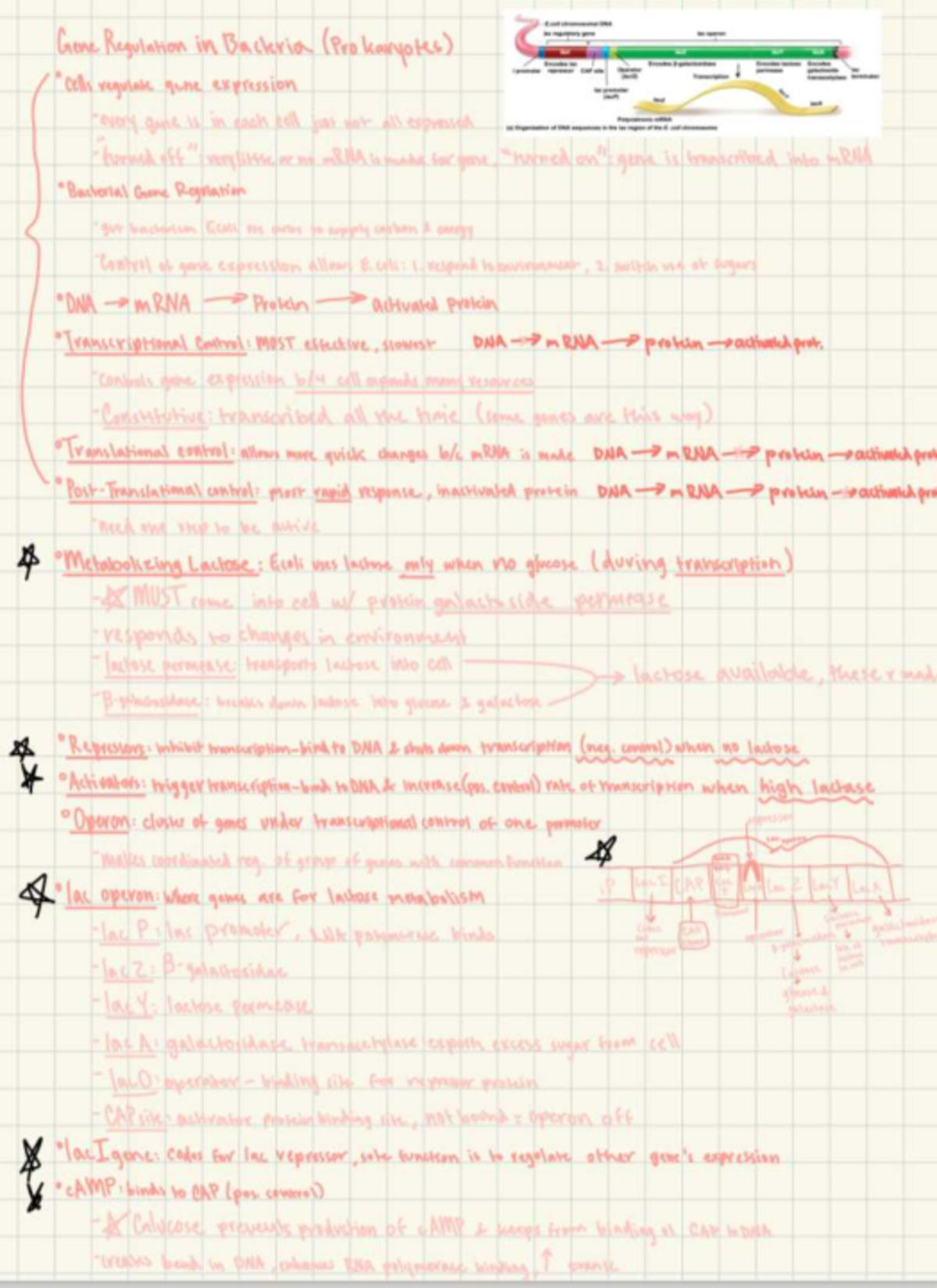 Final Exam Study Guide for Course Code XYZ123: Key Topics and Tips ...