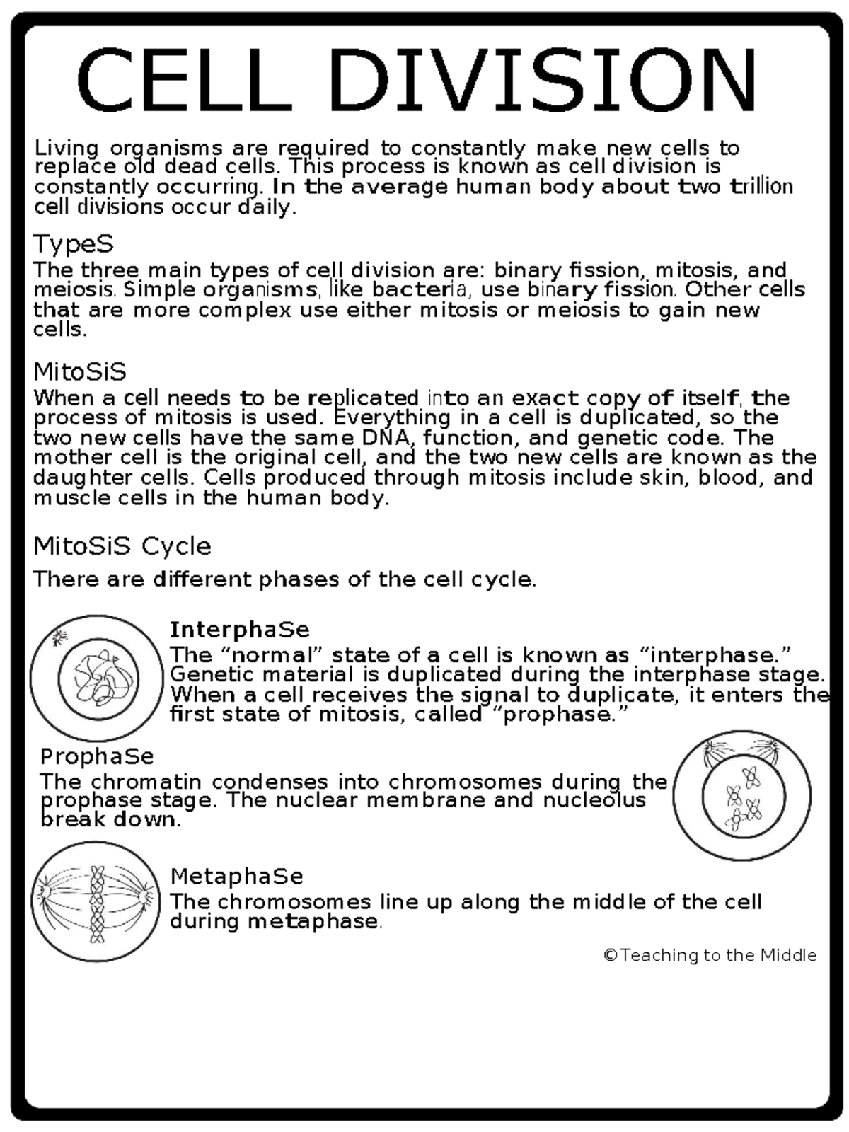 Cell Division Overview: Mitosis, Meiosis, & Binary Fission - Studocu