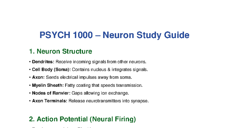PSYCH 1000 Neuron Structure & Action Potential Study Guide - Studocu