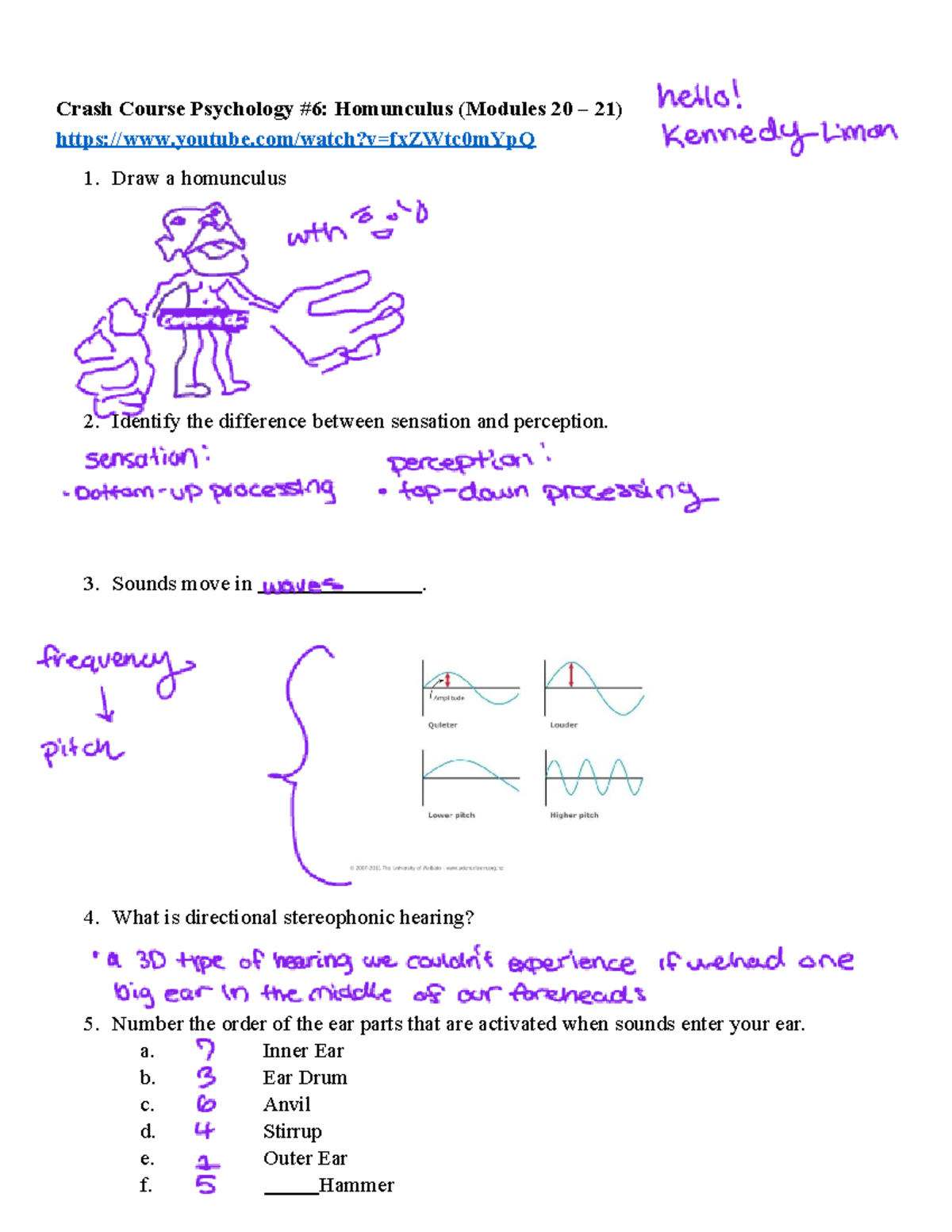 Crash Course Psychology Worksheet #6: Homunculus & Hearing (Modules 20 ...