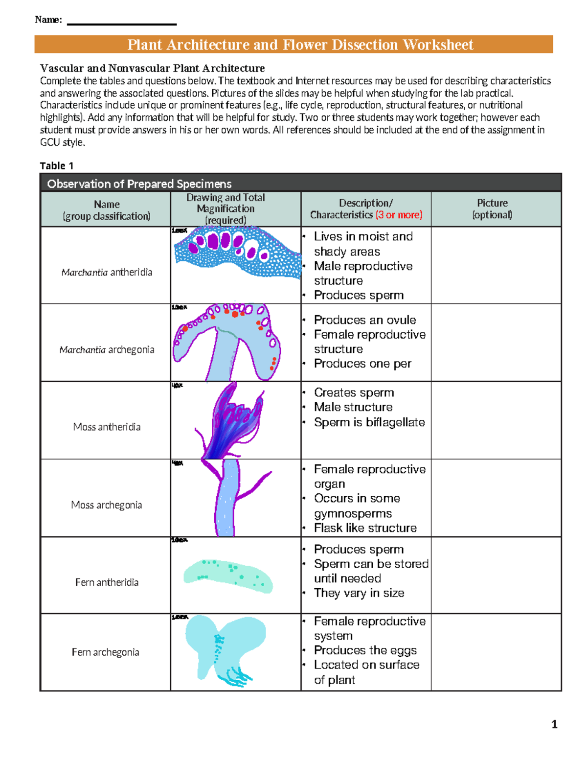 Plant Architecture & Flower Dissection Lab 4 Worksheet - Studocu
