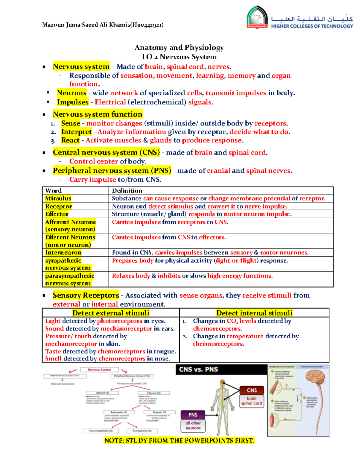 LO 2 Nervous System - lecture note :) - Anatomy and Physiology LO 2 ...