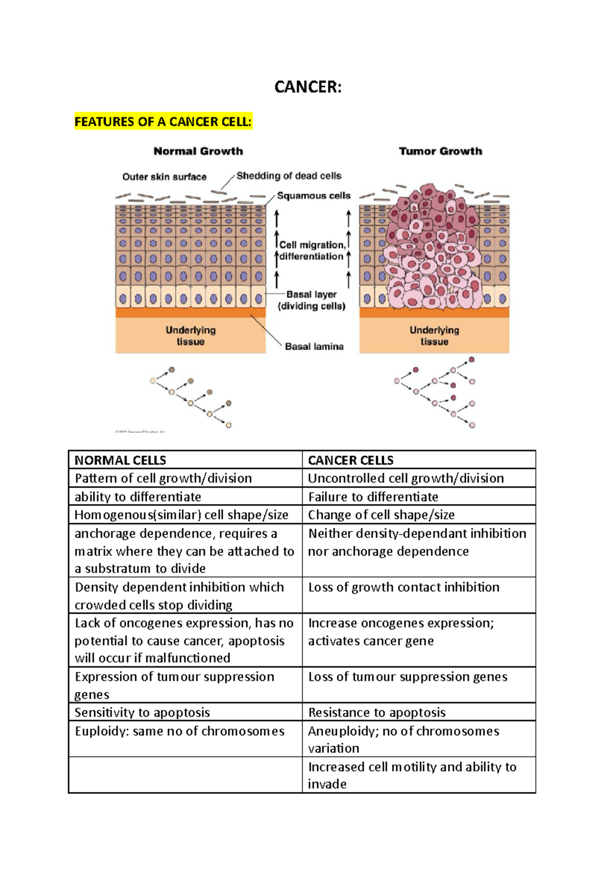 WEEK 11: Understanding Cancer Cells and Their Characteristics - Studocu