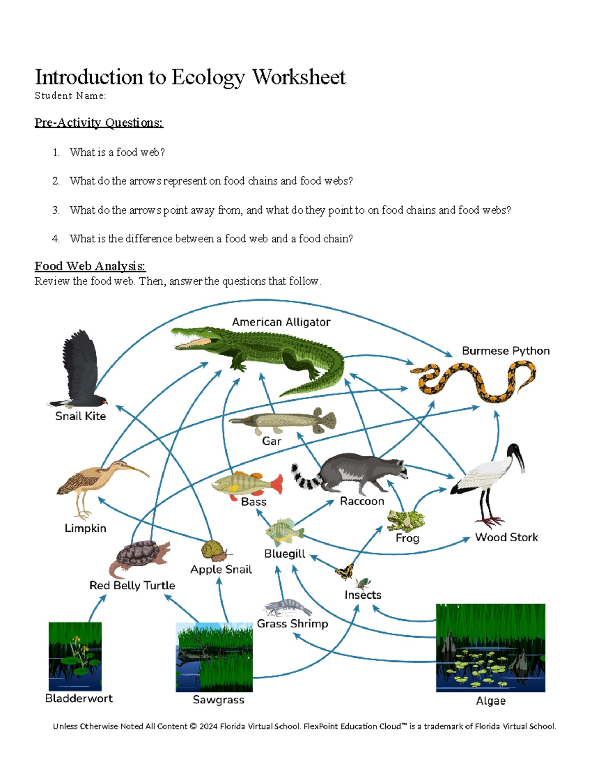 50+ Food worksheets for 4th Grade on Quizizz | Free \u0026 Printable, image size:1200x1553