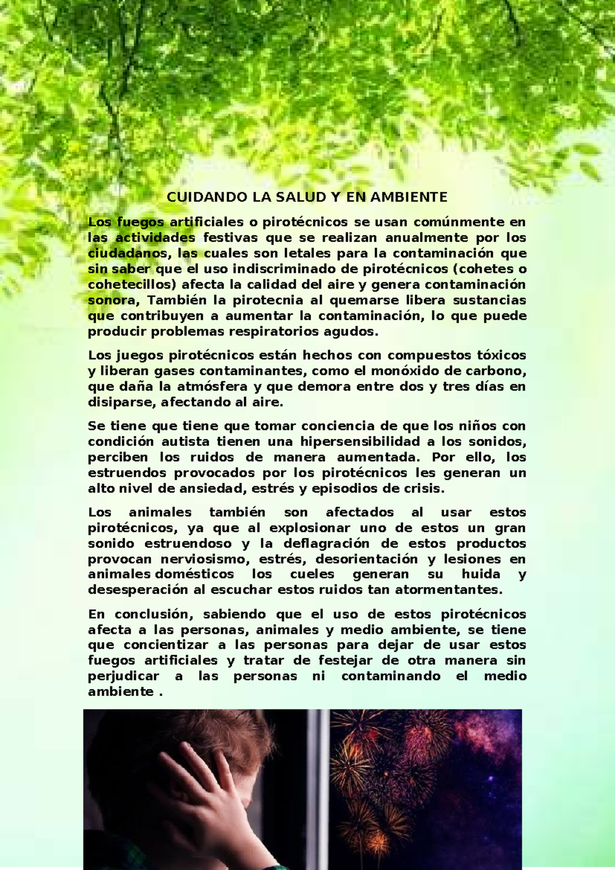 CUIDANDO LA SALUD Y EL MEDIO AMBIENTE: Impacto de la Pirotecnia - Studocu