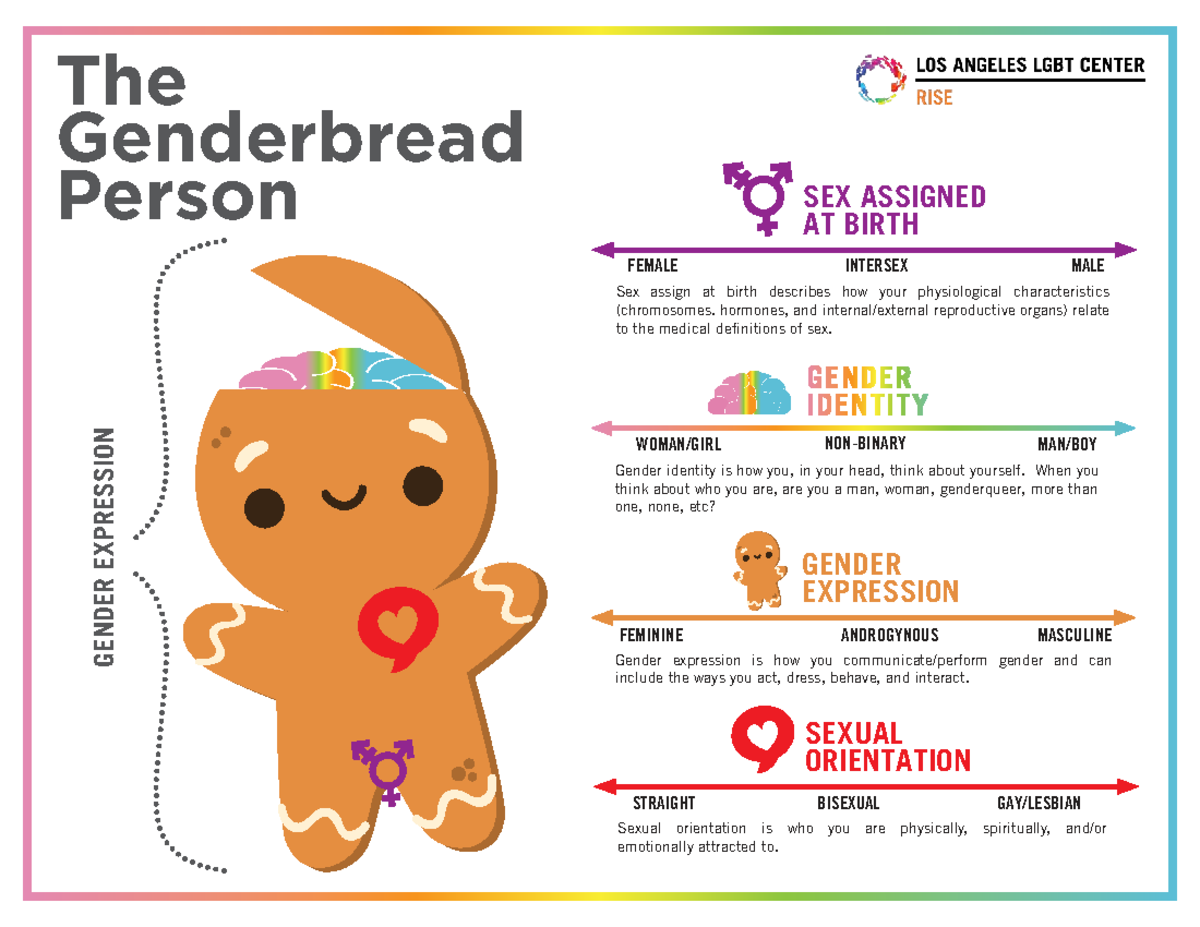 Genderbread Person: Understanding SOGIE Spectrums - Studocu
