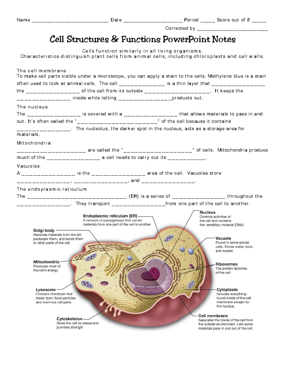Cell Structure Functions Notes - BIO101 Final Exam - Studocu