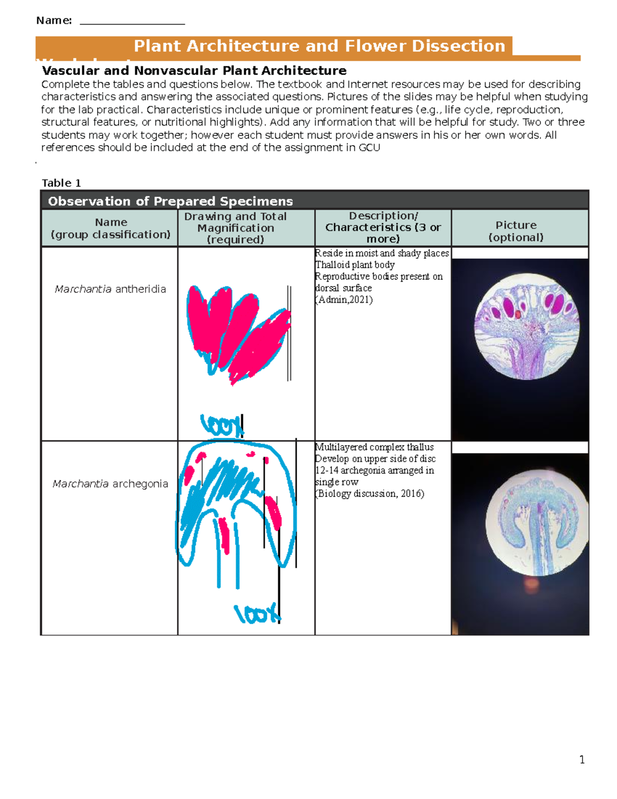 Plant Architecture and Flower Dissection Worksheet (BIO101) - Studocu